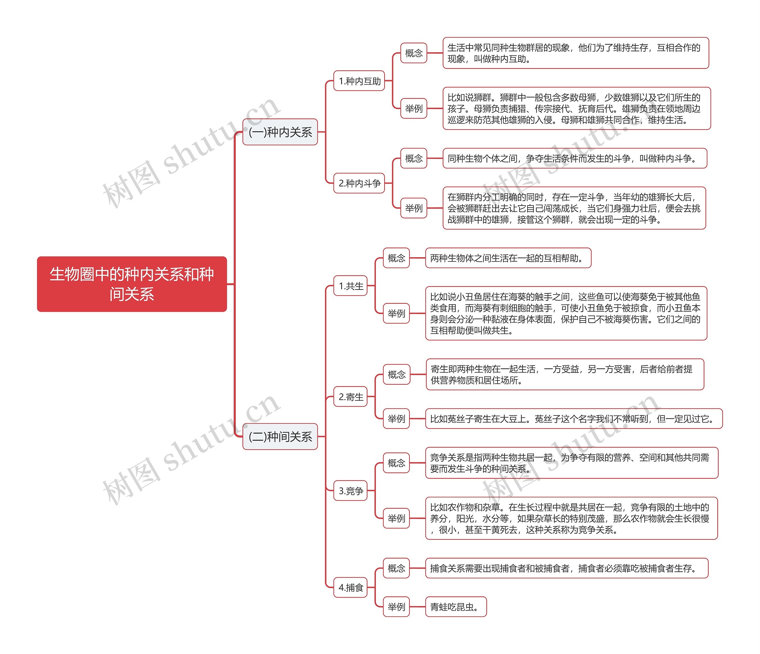 公基生物种内关系和种间关系思维导图
