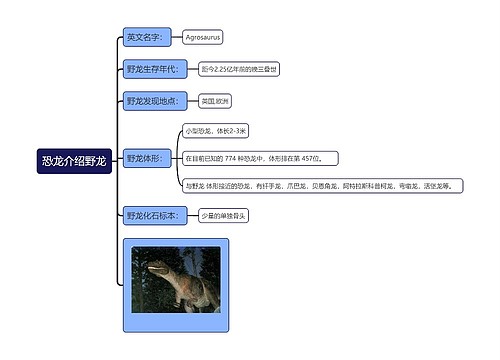 恐龙介绍野龙