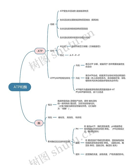 生物必修一 ATP和酶思维导图_编号t740001-TreeMind树图