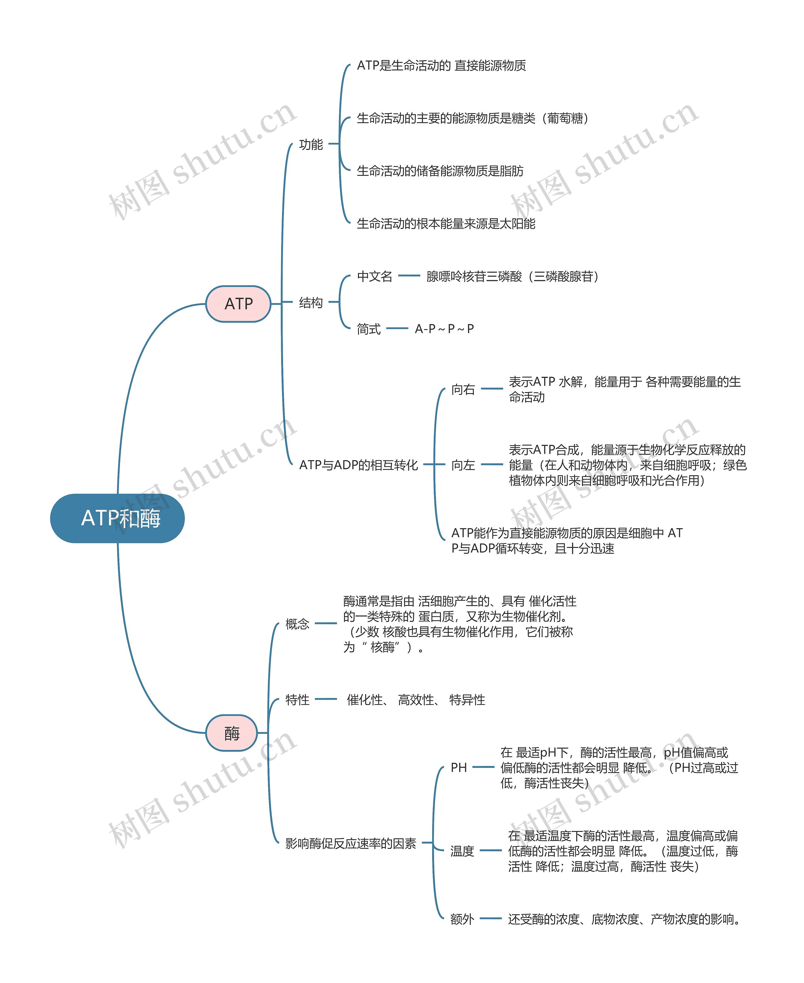  生物必修一   ATP和酶思维导图