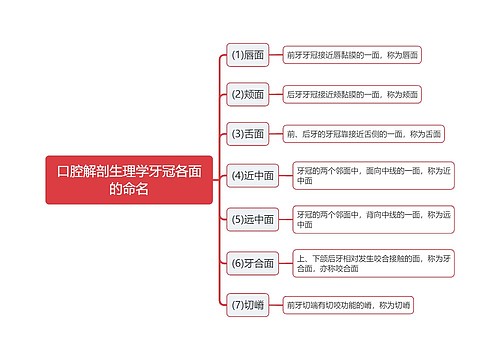 口腔解剖生理学牙冠各面的命名思维导图