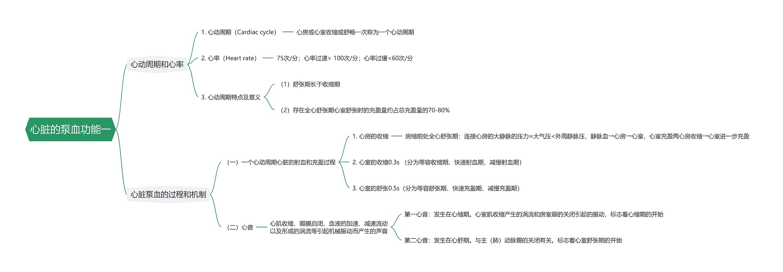 心脏的泵血功能一思维导图