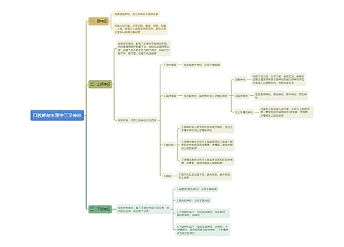 口腔解剖生理学三叉神经思维导图