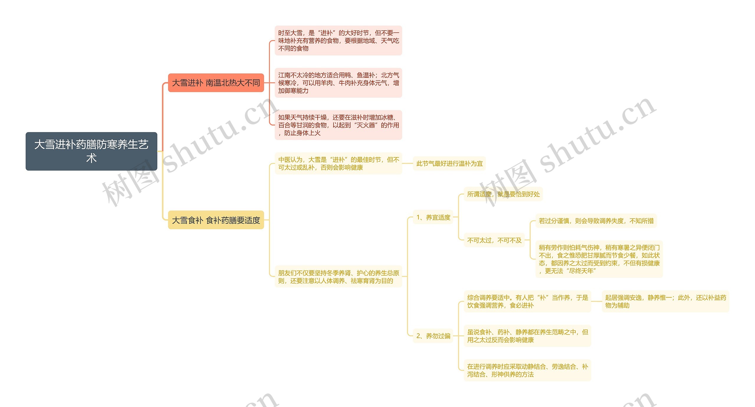大雪进补药膳防寒养生艺术思维导图