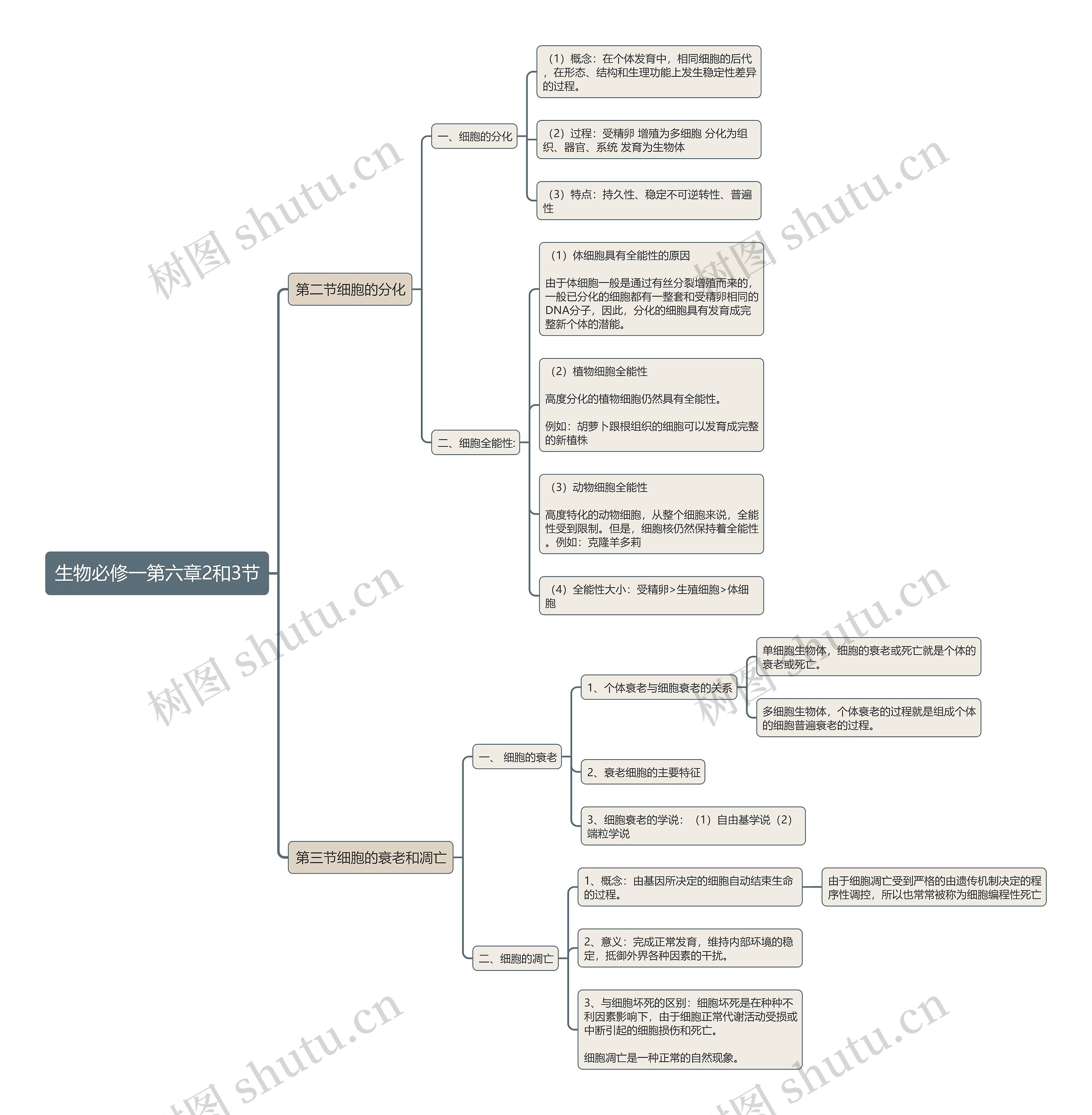 生物必修一第六章2和3节思维导图高清图 生物必修一第六章2和3节思维导图