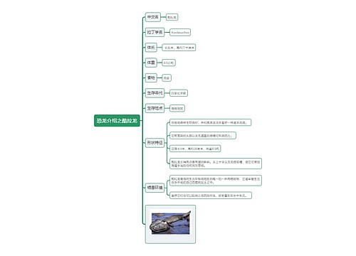 恐龙介绍之酷拉龙思维导图