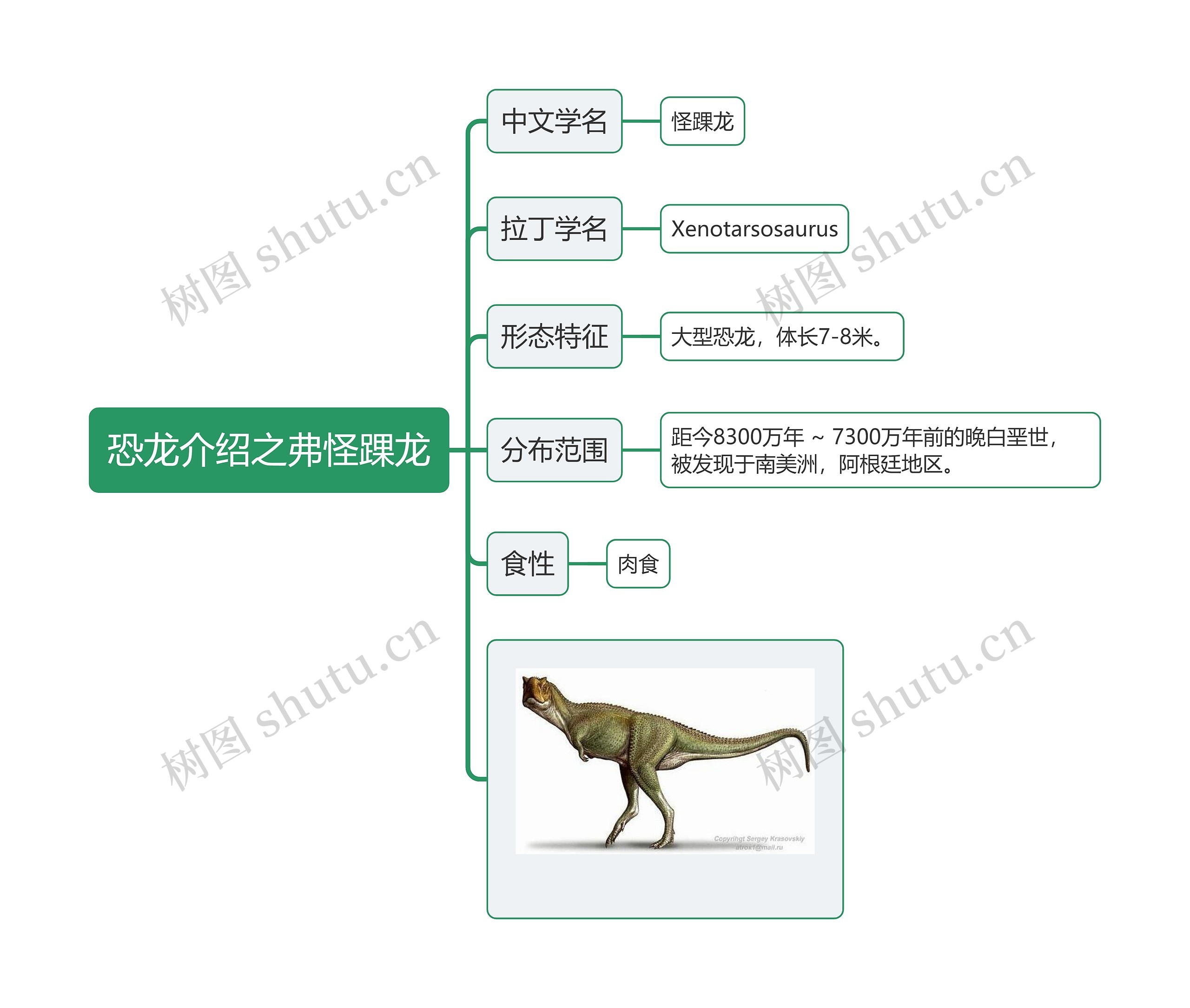 恐龙介绍之弗怪踝龙思维导图