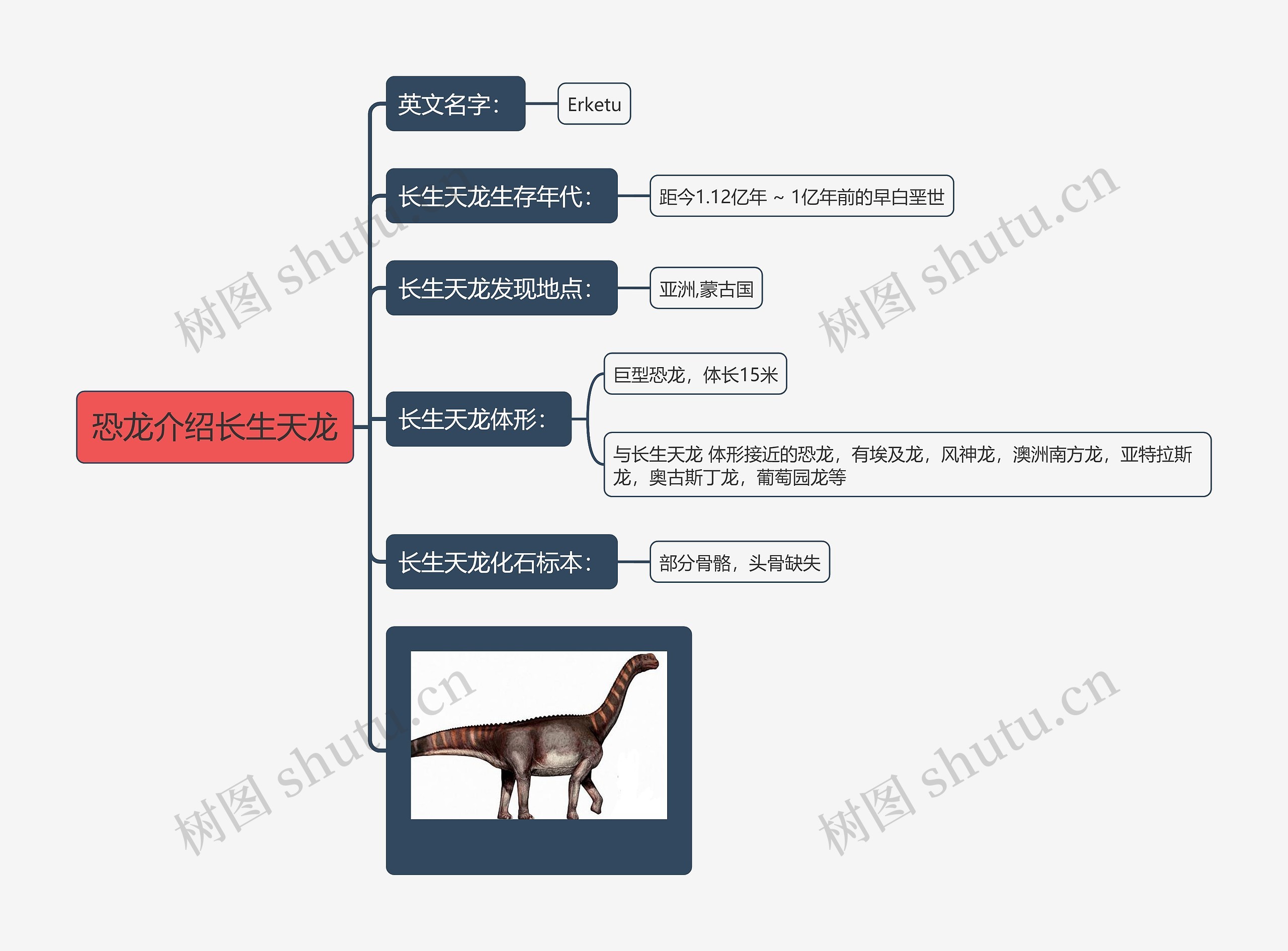 恐龙介绍长生天龙思维导图