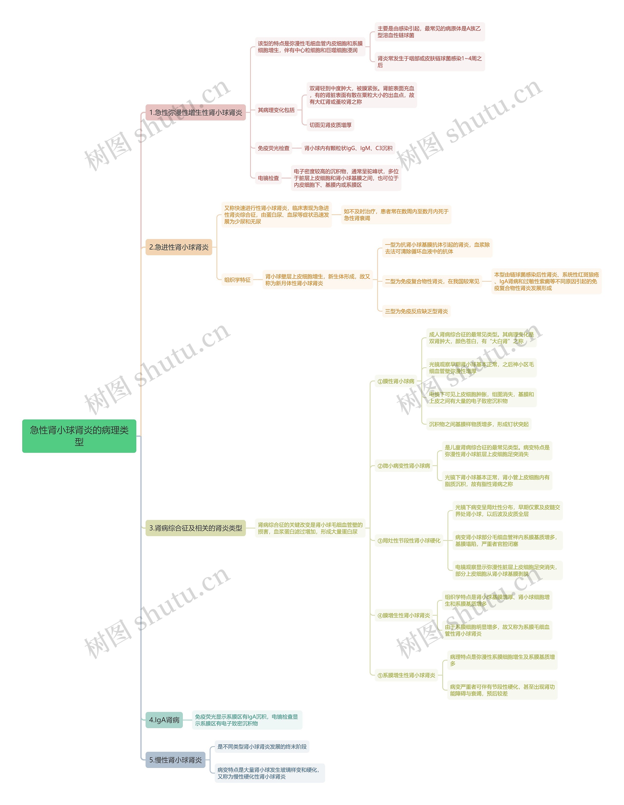 急性肾小球肾炎的病理类型思维导图 急性肾小球肾炎的病理类型思维导图