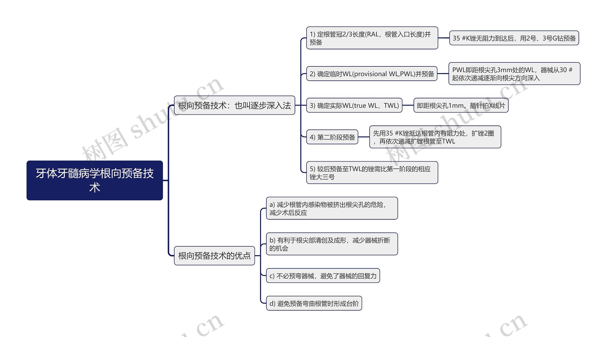 牙体牙髓病学根向预备技术思维导图 牙体牙髓病学根向预备技术思维导图
