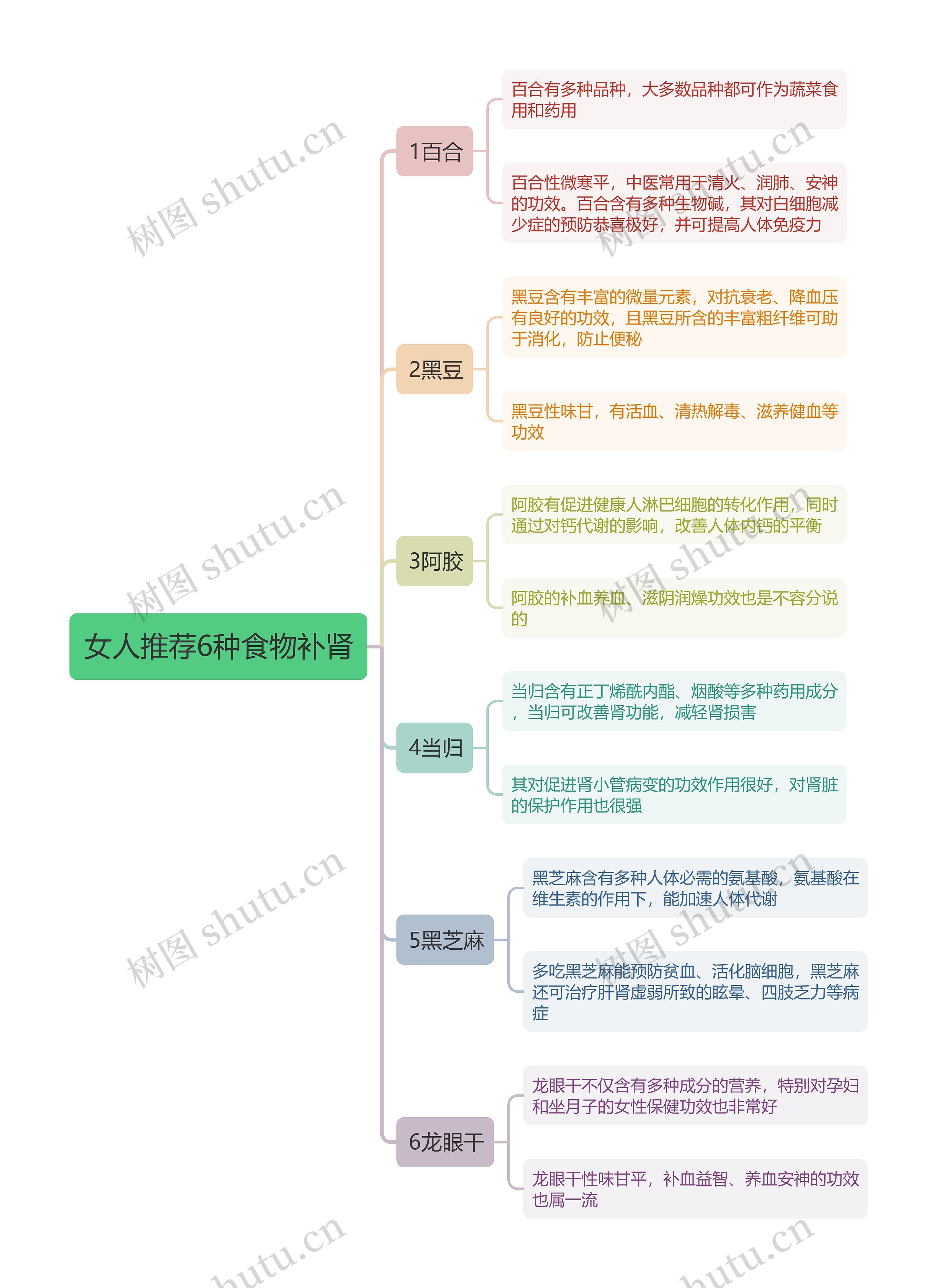 女人推荐6种食物补肾思维导图