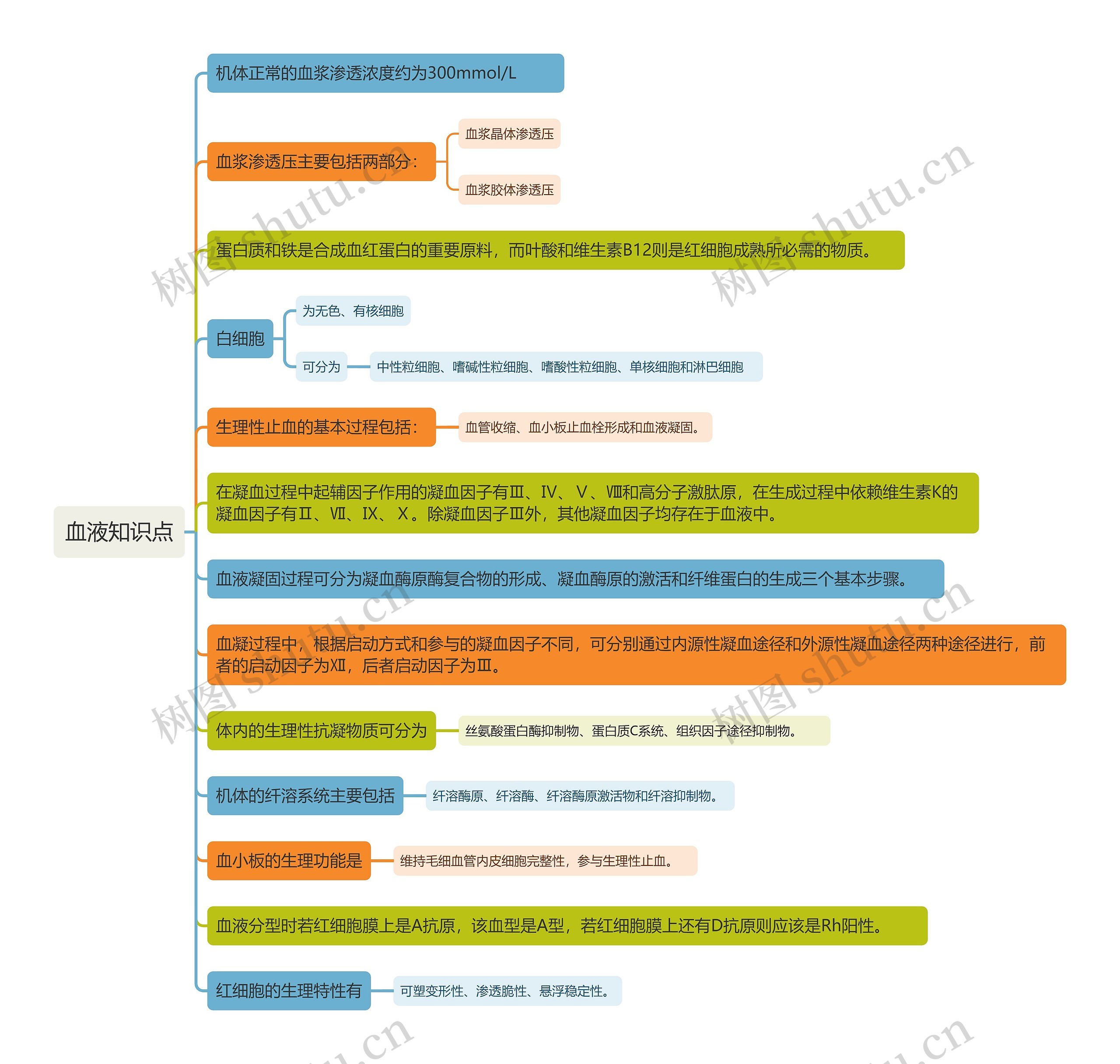 血液知识点思维导图