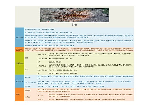 蚰蜒思维导图