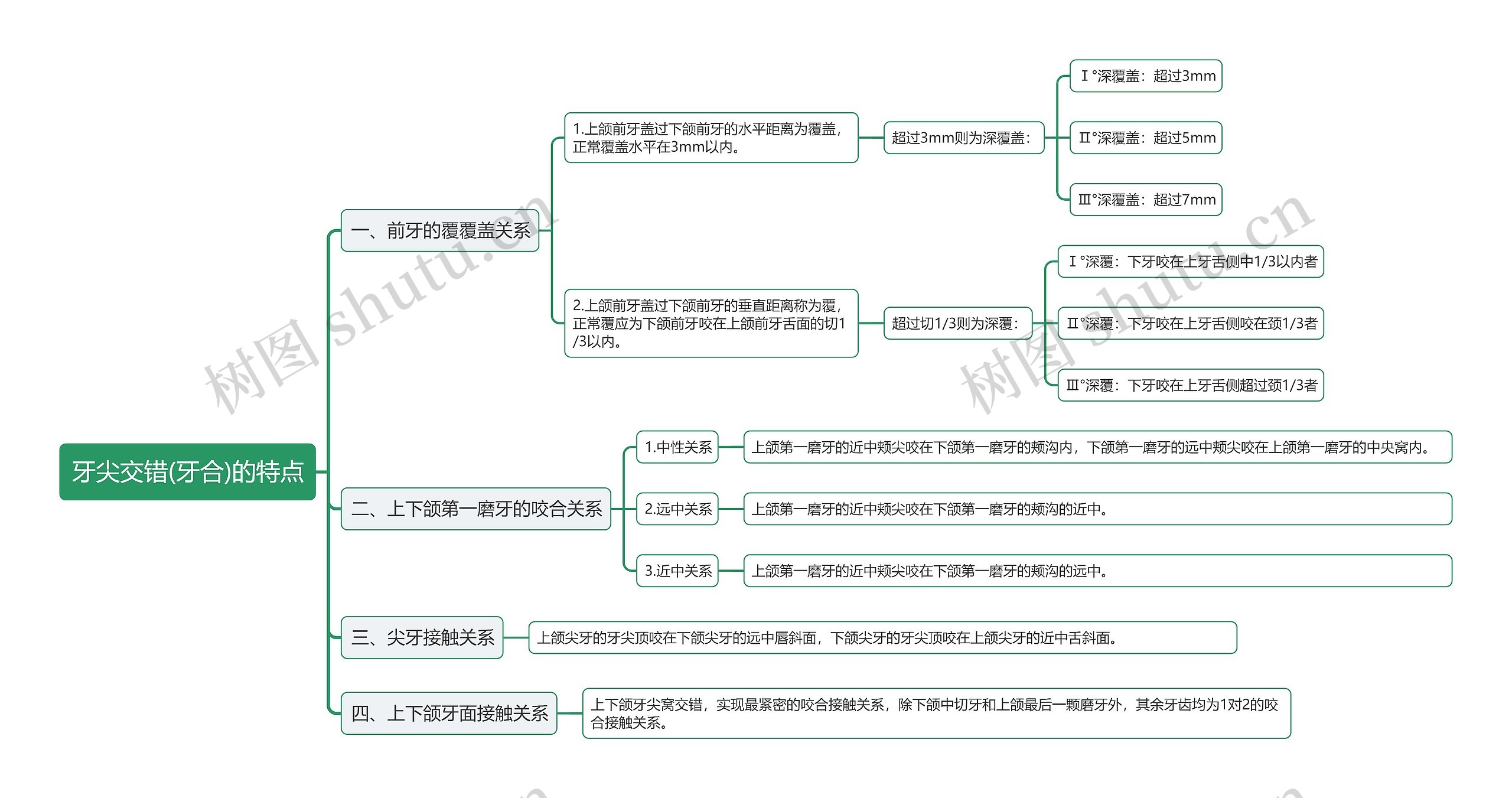 牙尖交错(牙合)的特点思维导图