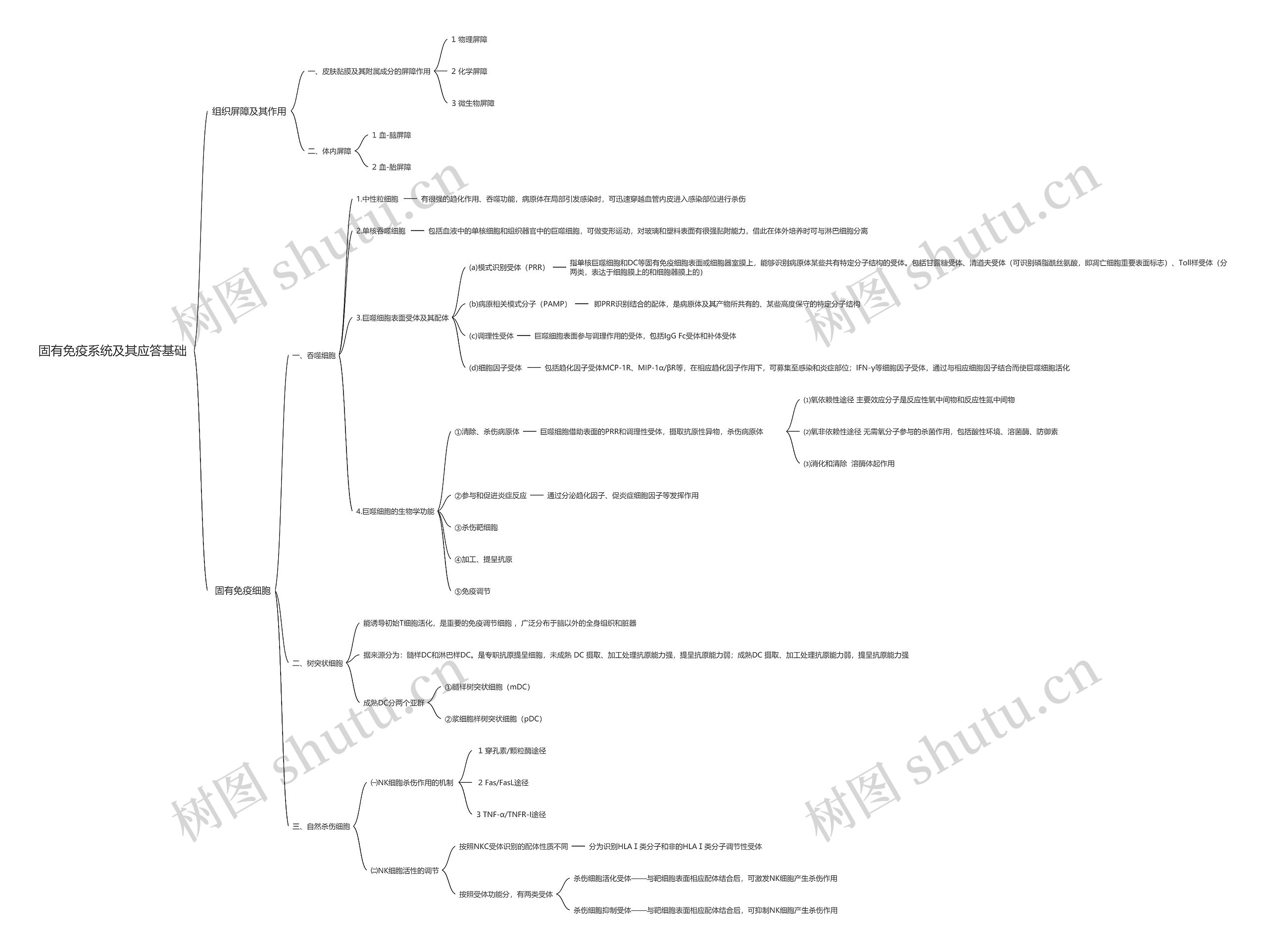固有免疫系统及其应答基础思维导图