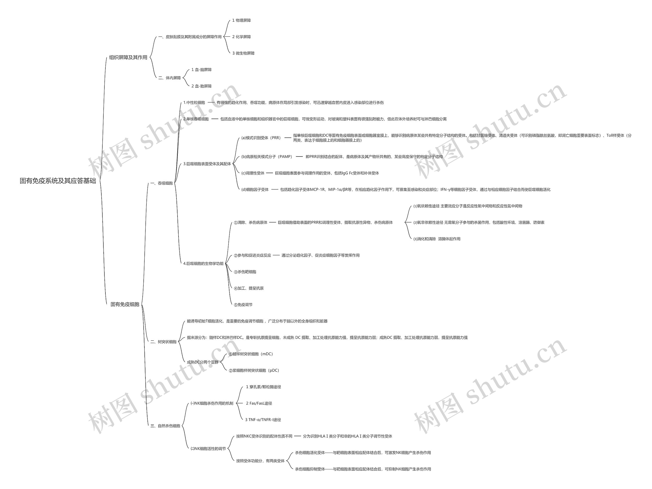 固有免疫系统及其应答基础思维导图高清图 固有免疫系统及其应答基础思维导图