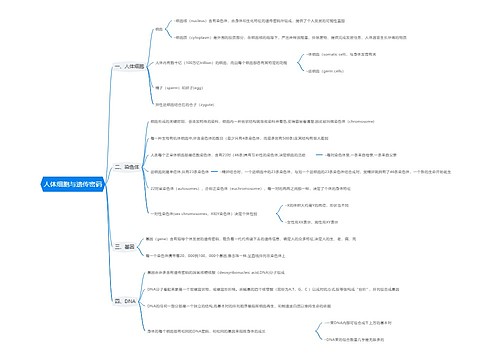 人体细胞与遗传密码思维导图
