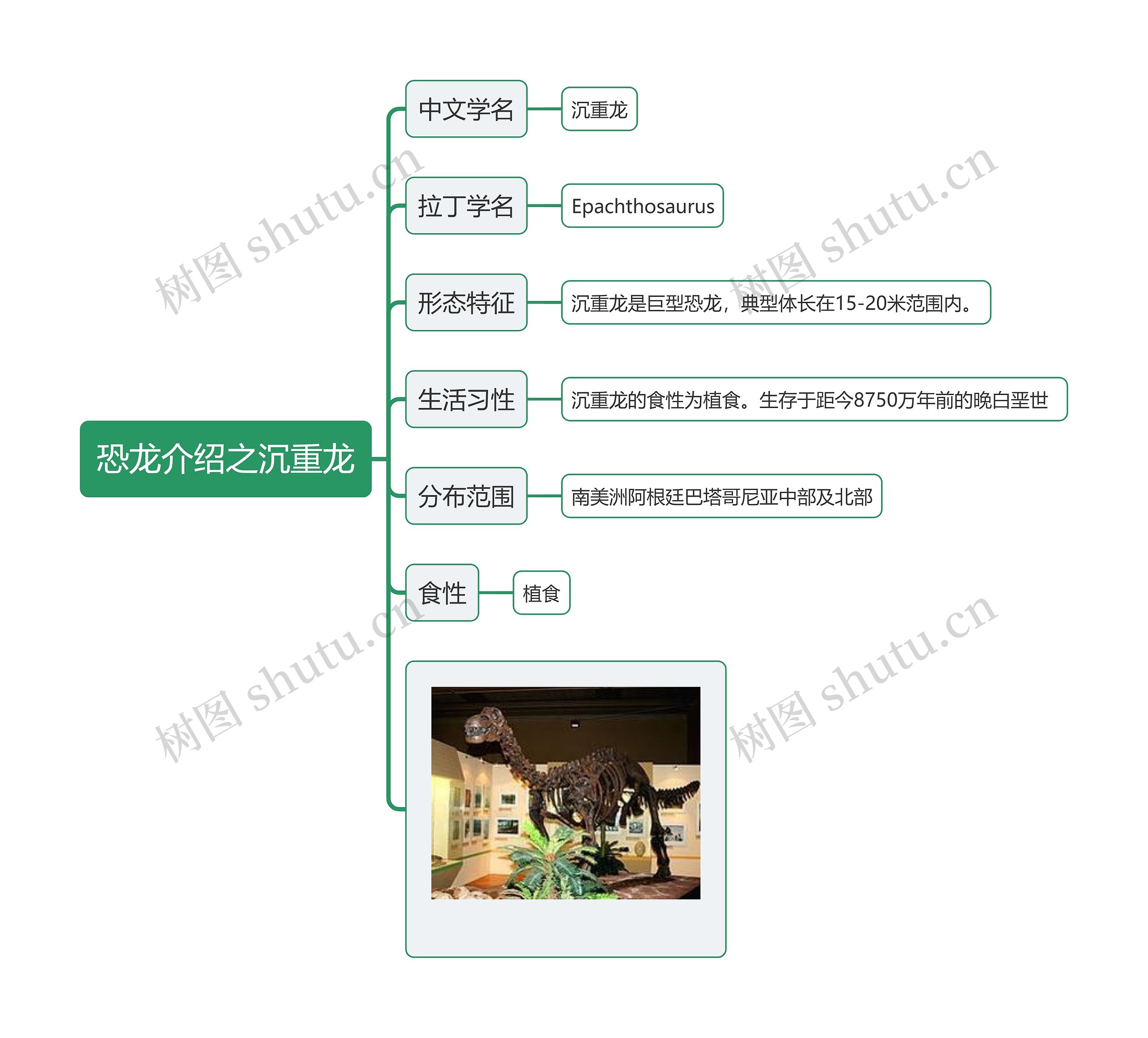 恐龙介绍之沉重龙思维导图
