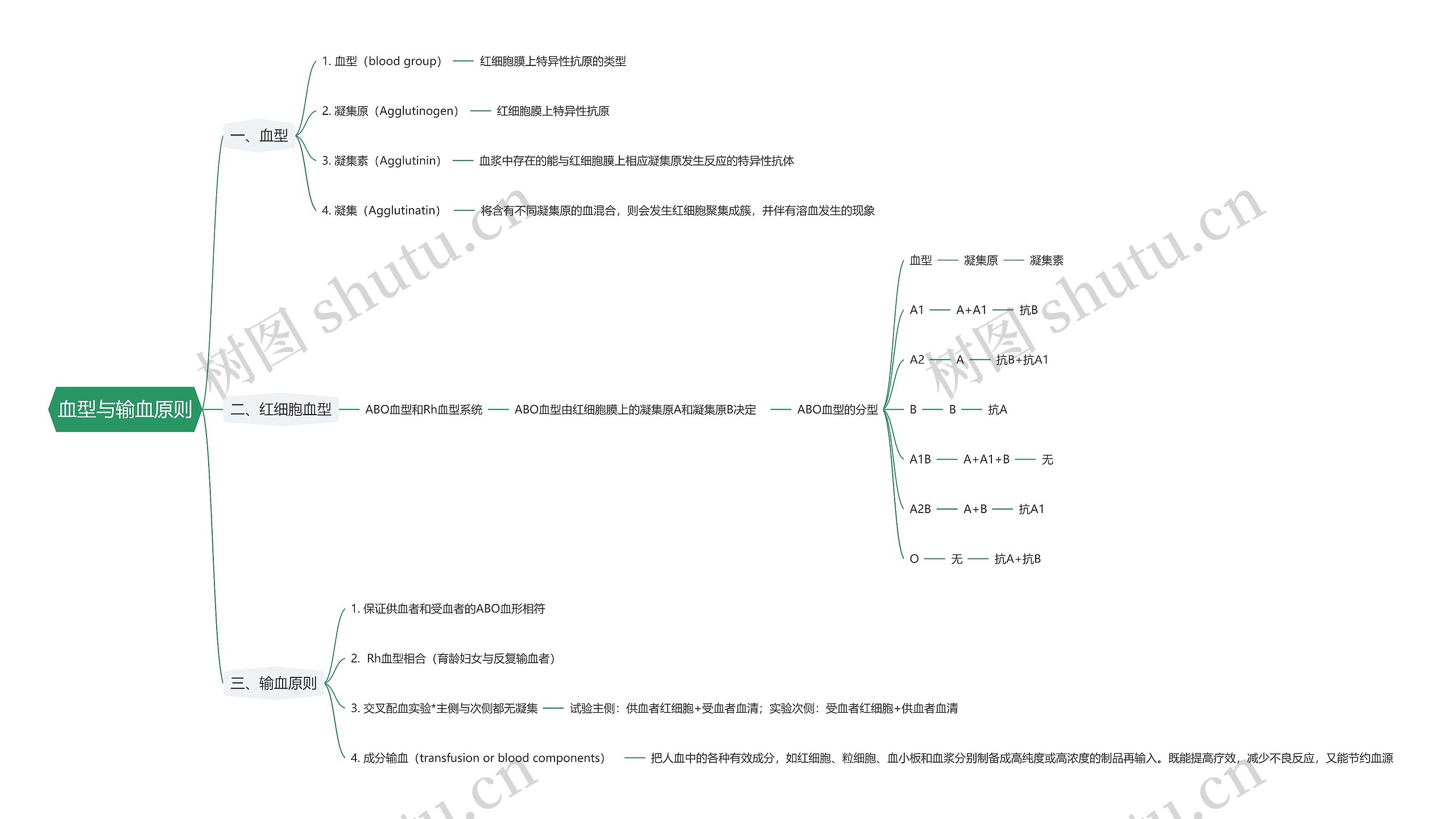 血型与输血原则思维导图