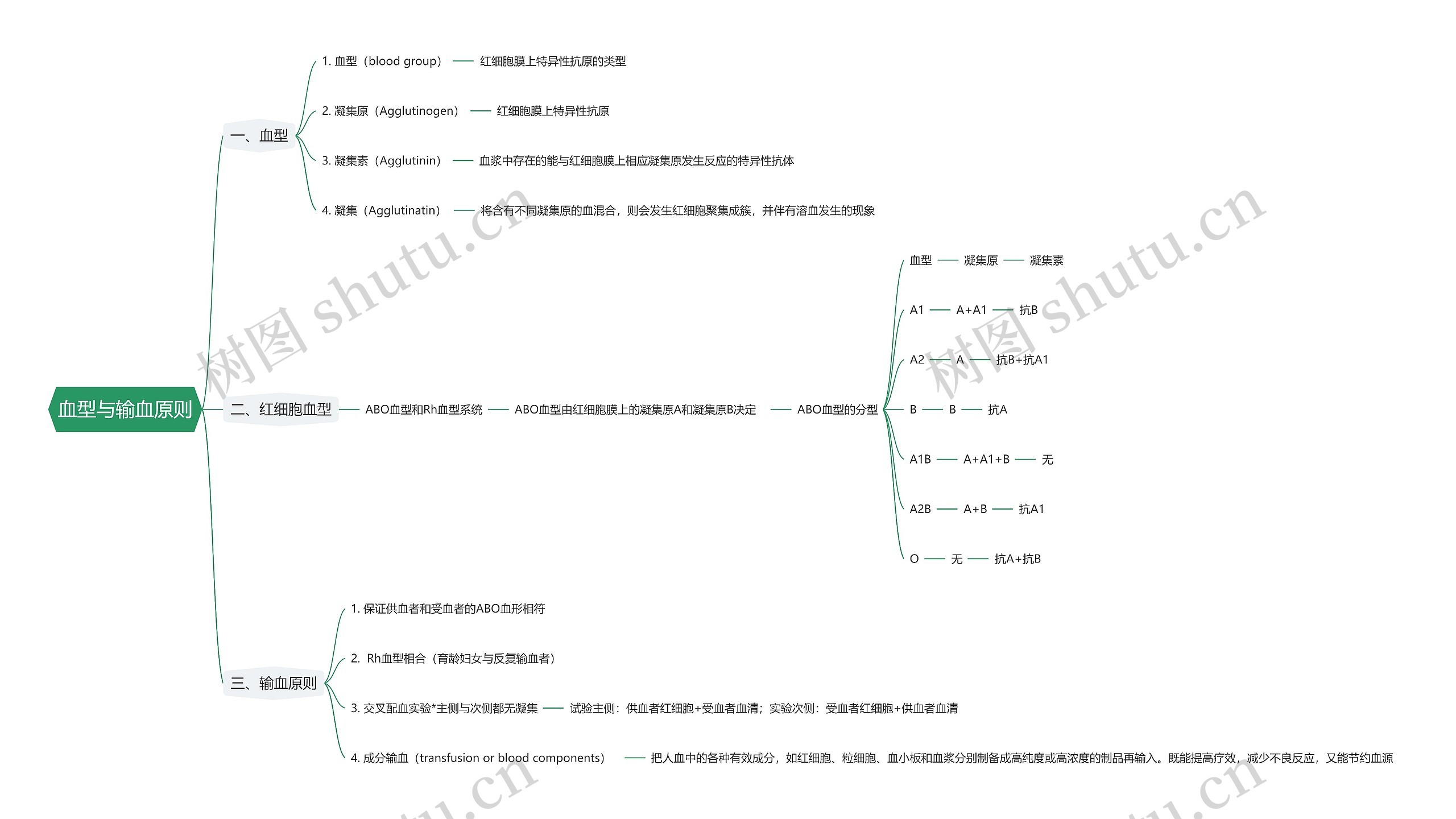 血型与输血原则思维导图高清图 血型与输血原则思维导图