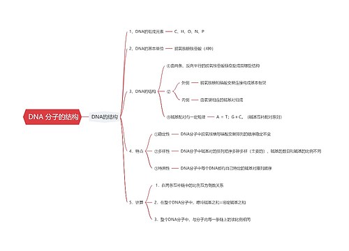  DNA 分子的结构思维导图