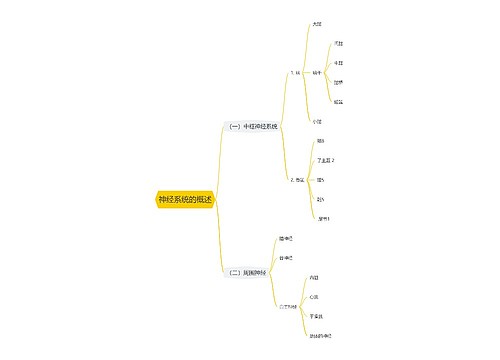神经系统的概述思维导图