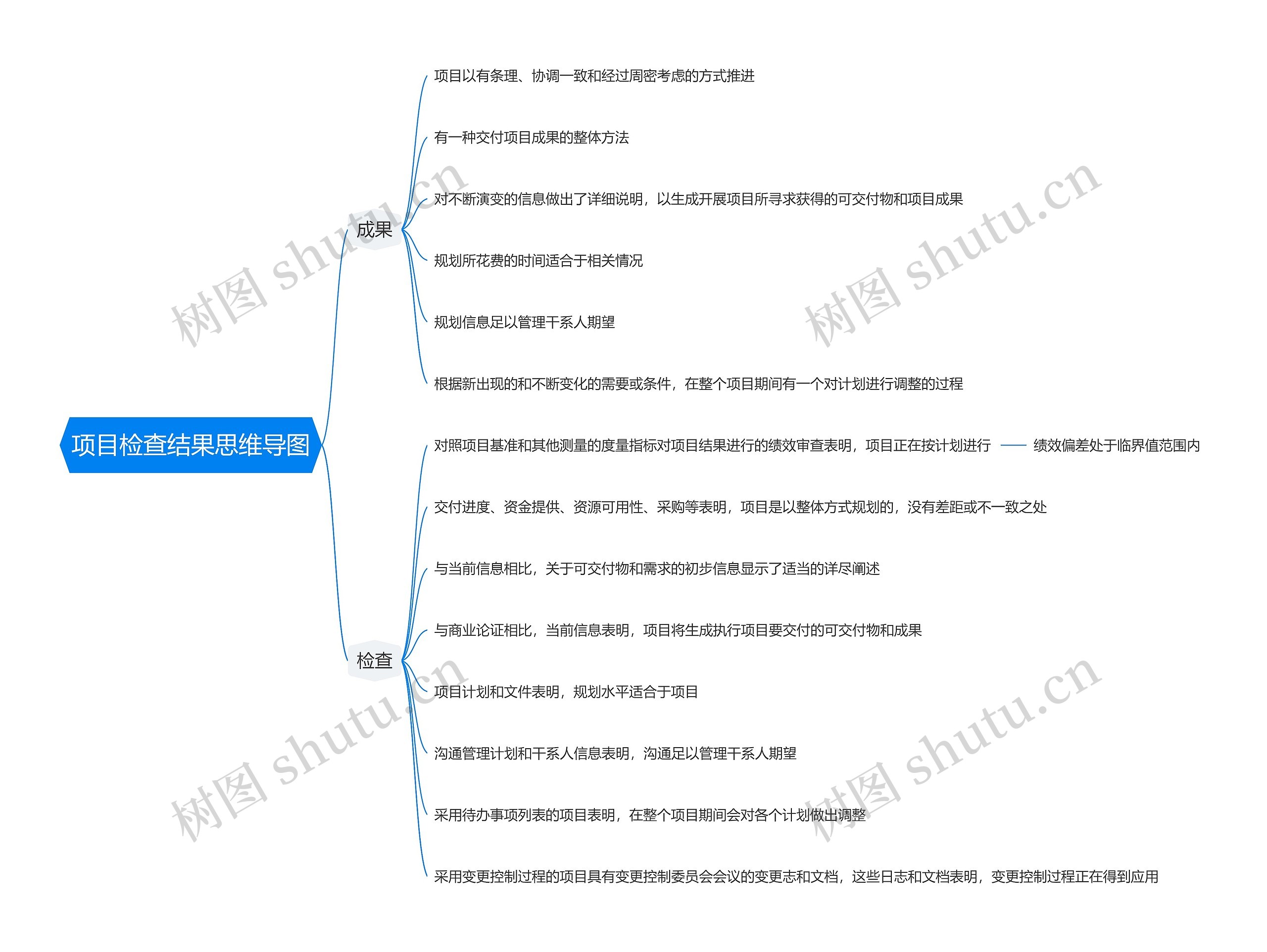 项目检查结果思维导图