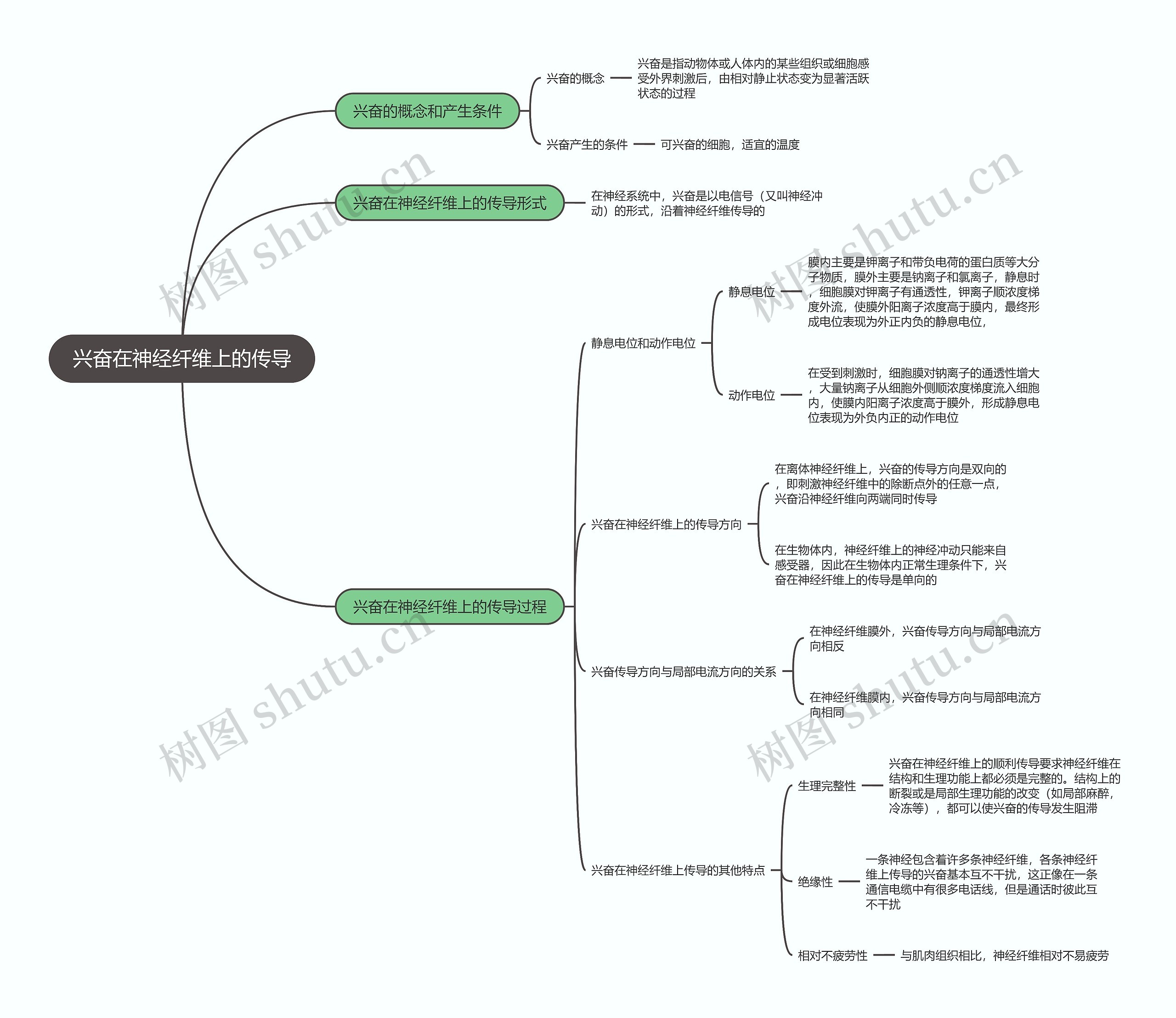 生物必修三    兴奋在神经纤维上的传导思维导图