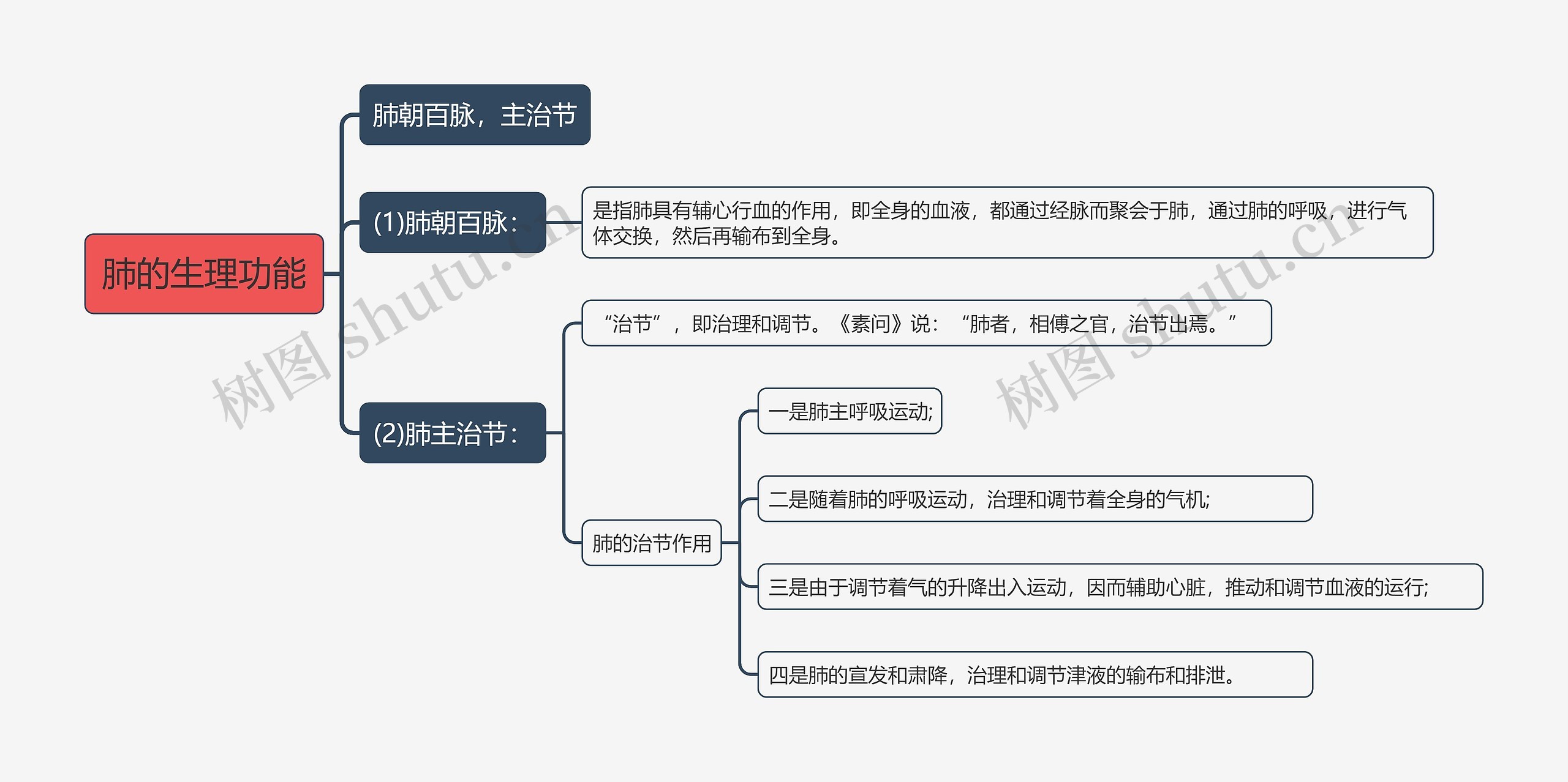肺的生理功能知识点