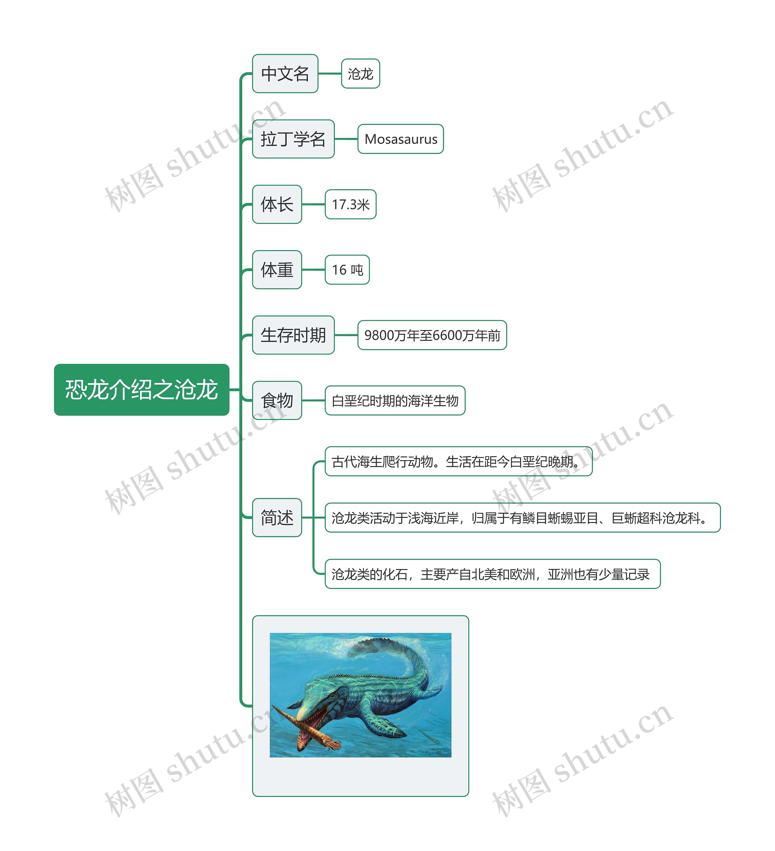 恐龙介绍之沧龙思维导图