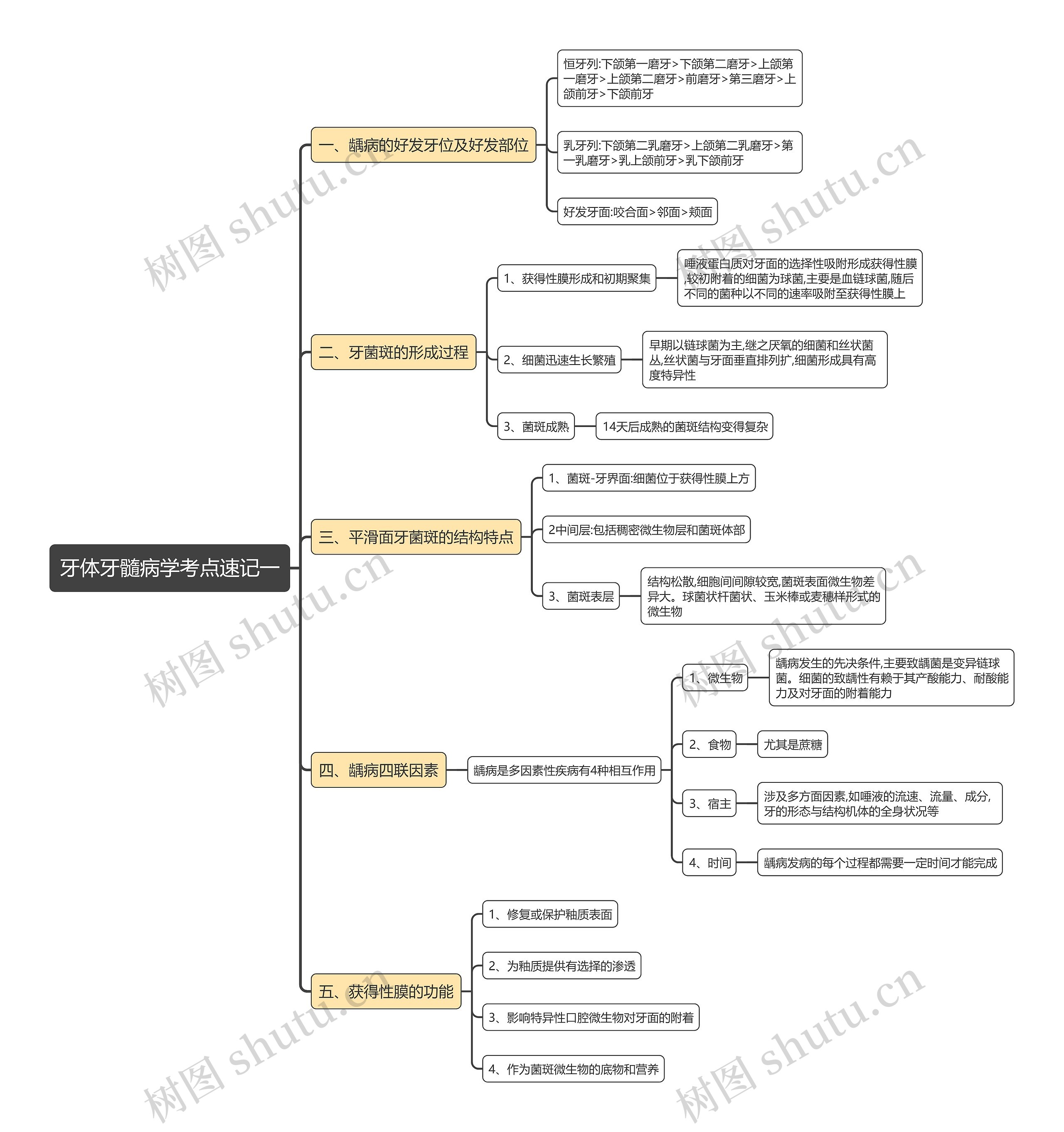 牙体牙髓病学考点速记一思维导图