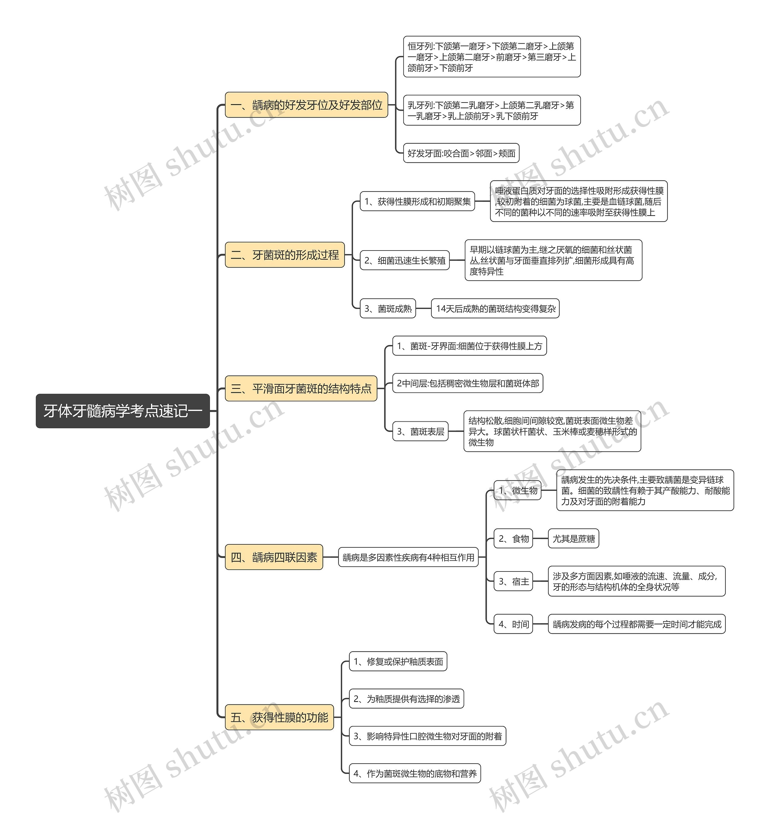 牙体牙髓病学考点速记一思维导图 牙体牙髓病学考点速记一思维导图