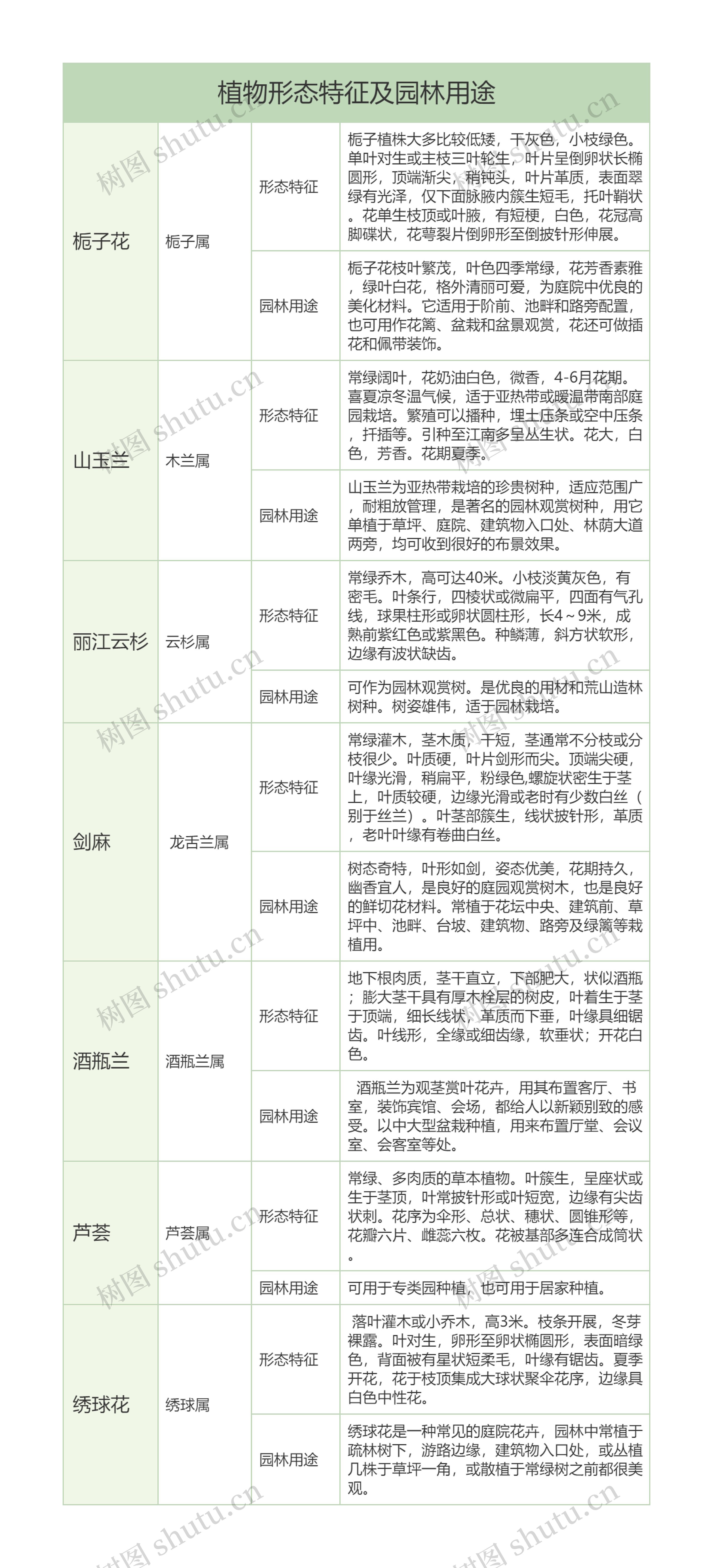 栀子花山玉兰等常见植物形态特征及园林用途树形表格