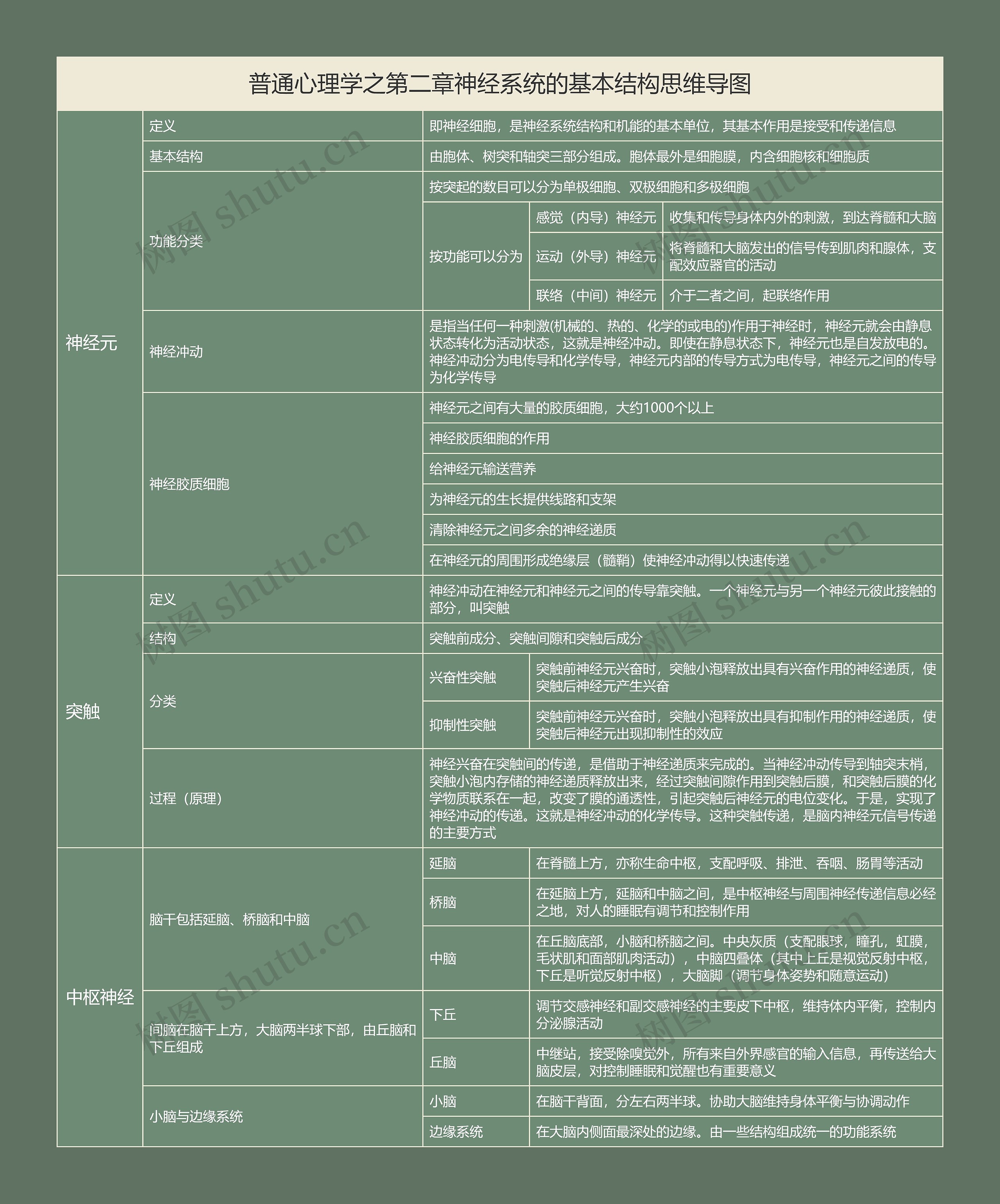 普通心理学之第二章神经系统的基本结构思维导图