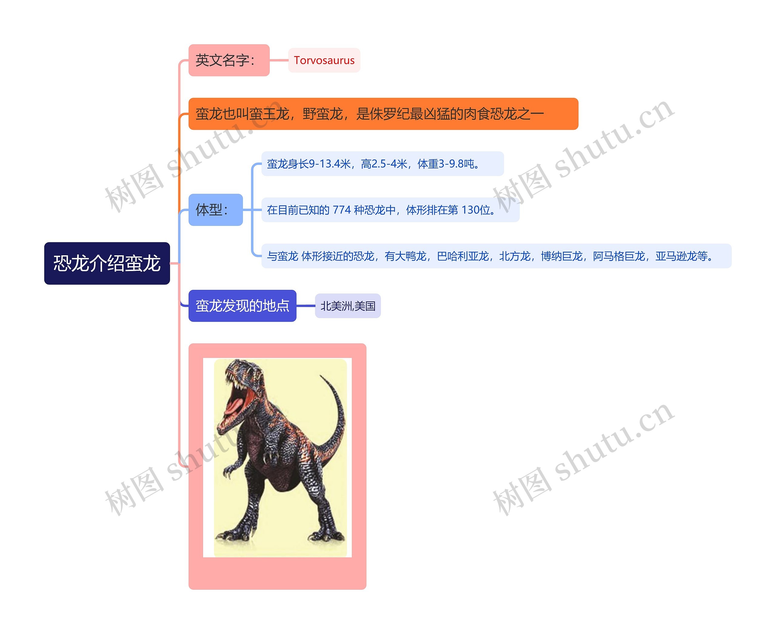 恐龙介绍蛮龙