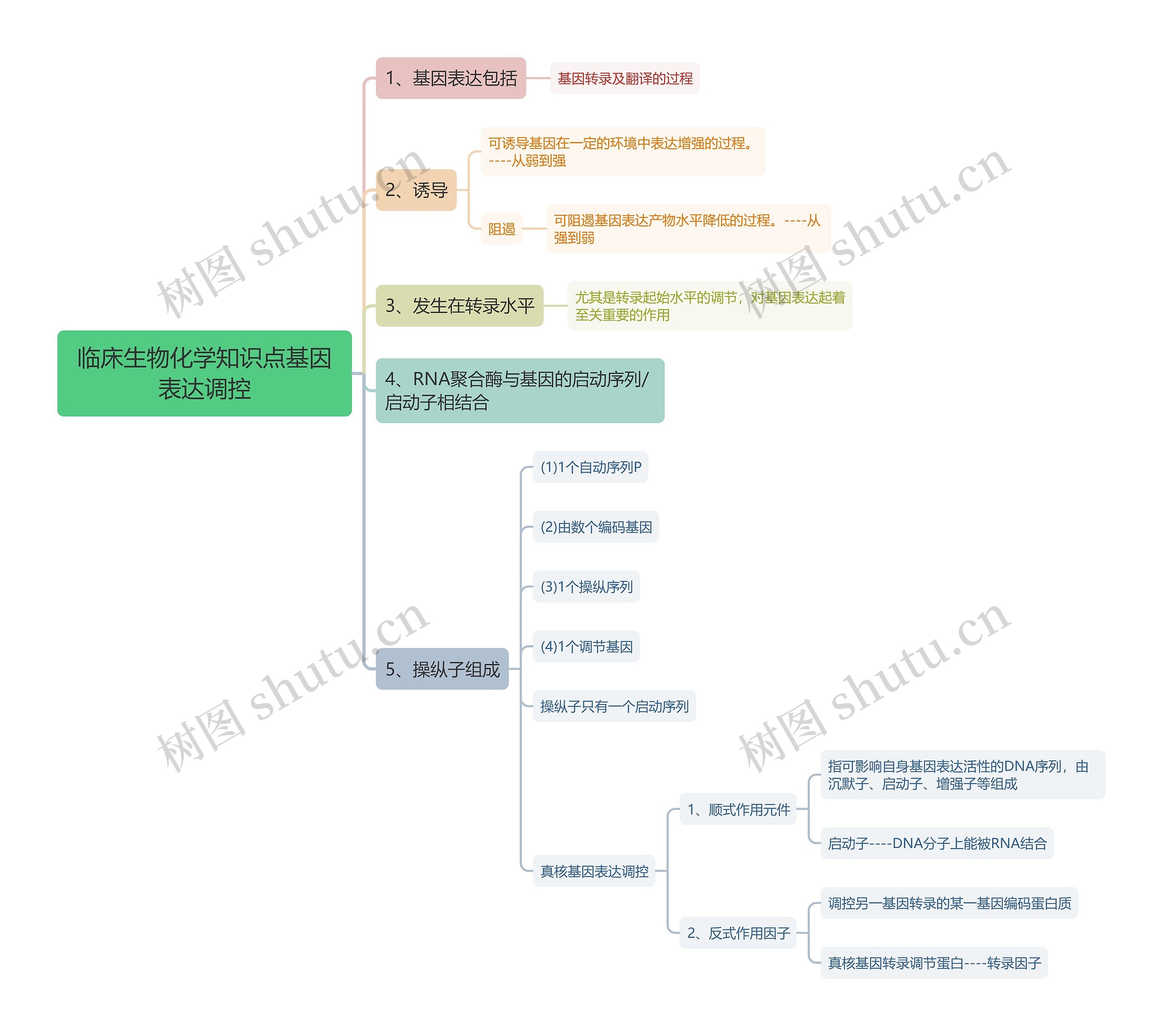 临床生物化学知识点基因表达调控思维导图