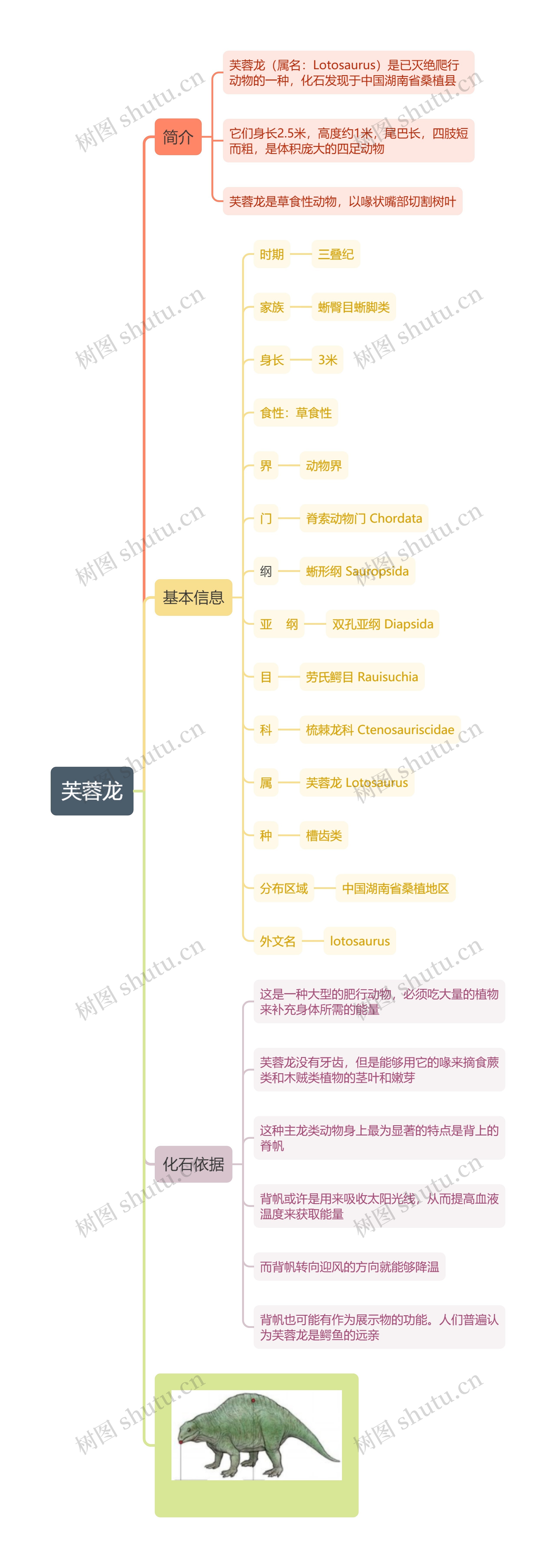 芙蓉龙思维导图