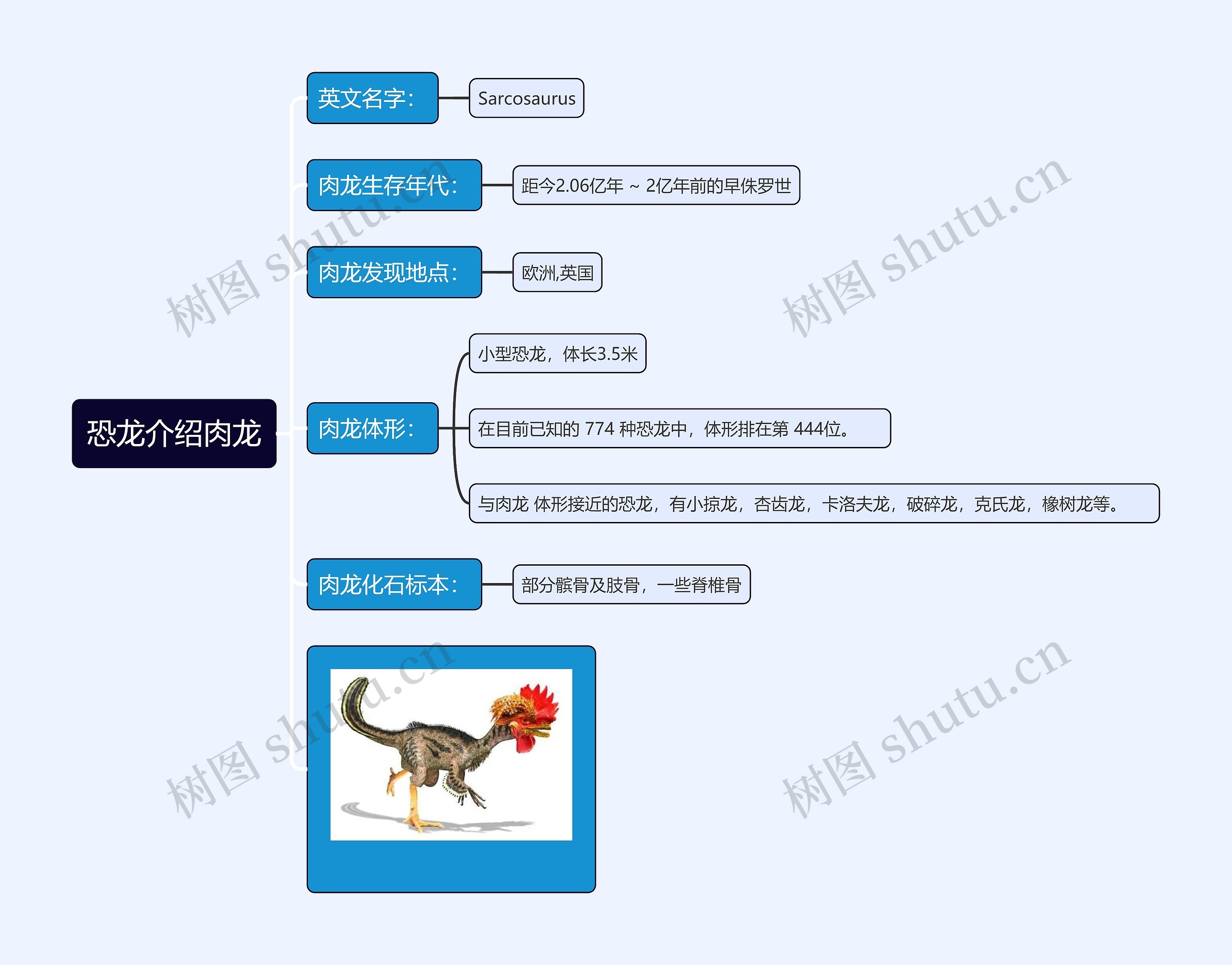 恐龙介绍肉龙