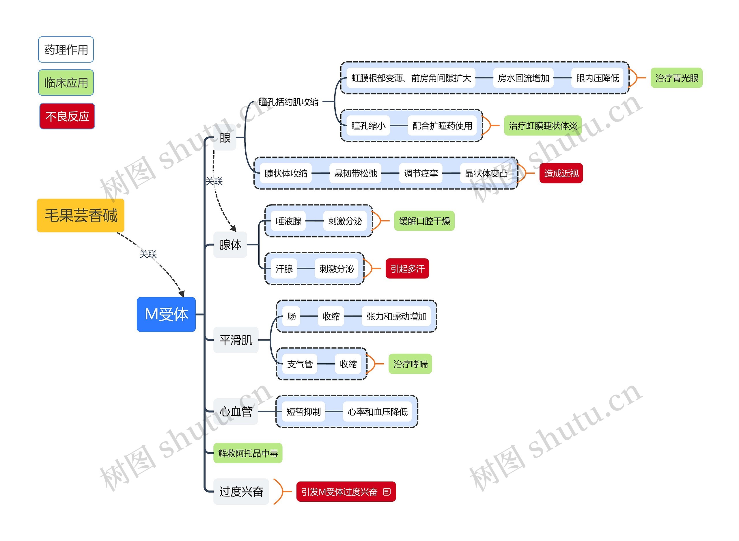 毛国芸香碱思维导图