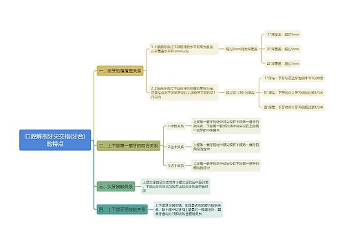 口腔解剖牙尖交错(牙合)的特点思维导图