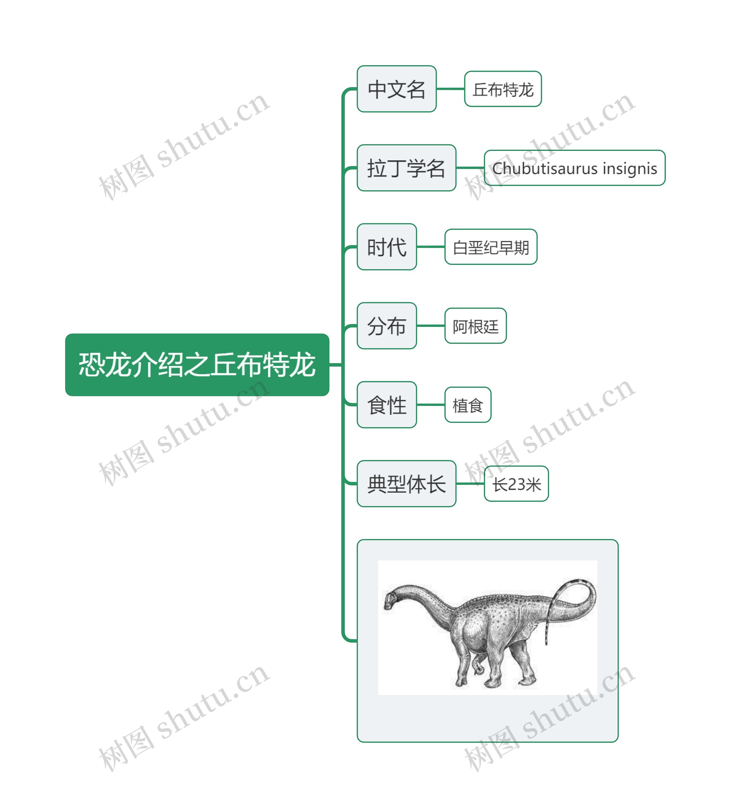 恐龙介绍之丘布特龙思维导图