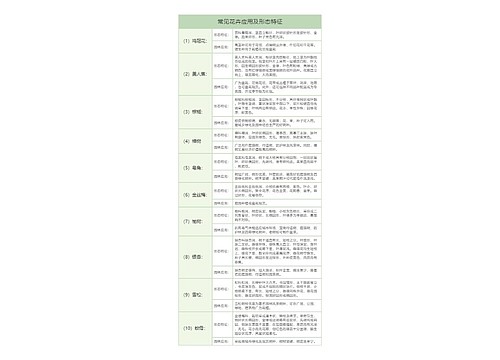 生物知识常见植物应用及形态特征树形表格