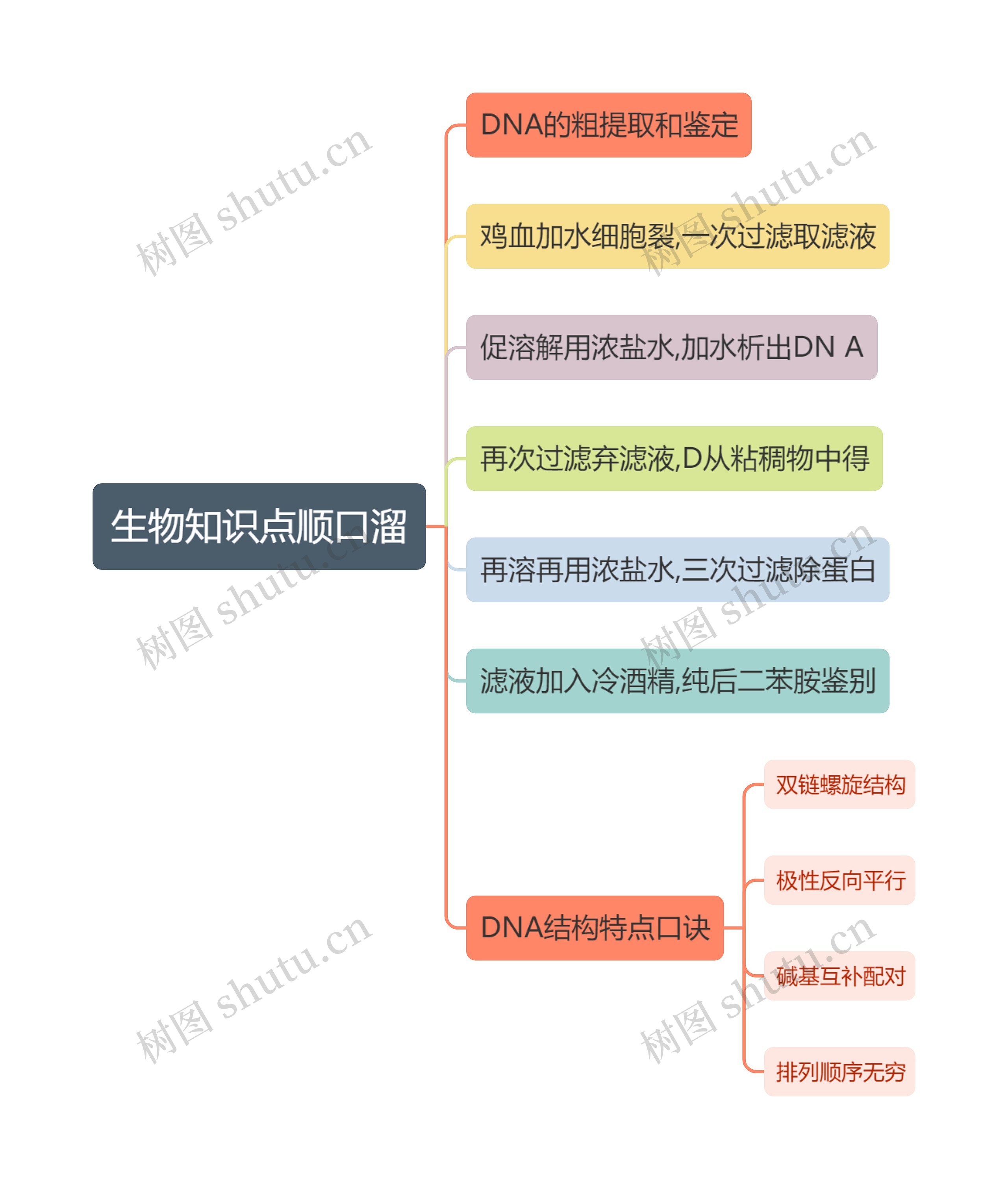 生物知识点顺口溜思维导图