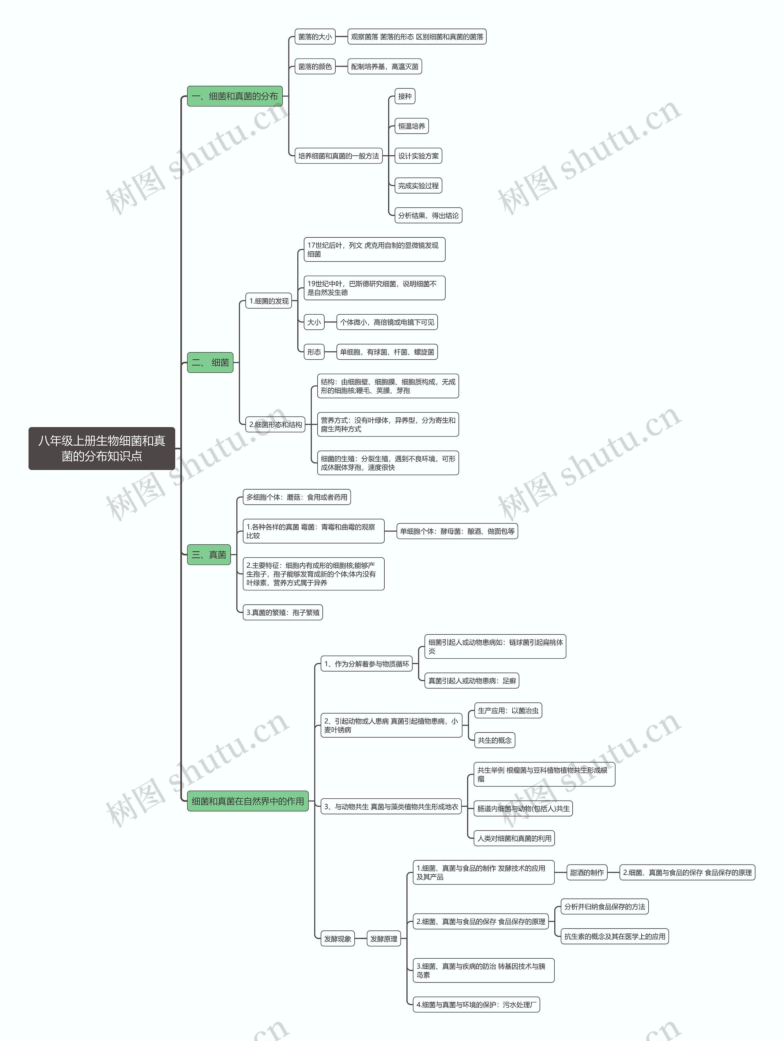 八年级上册生物细菌和真菌的分布思维导图