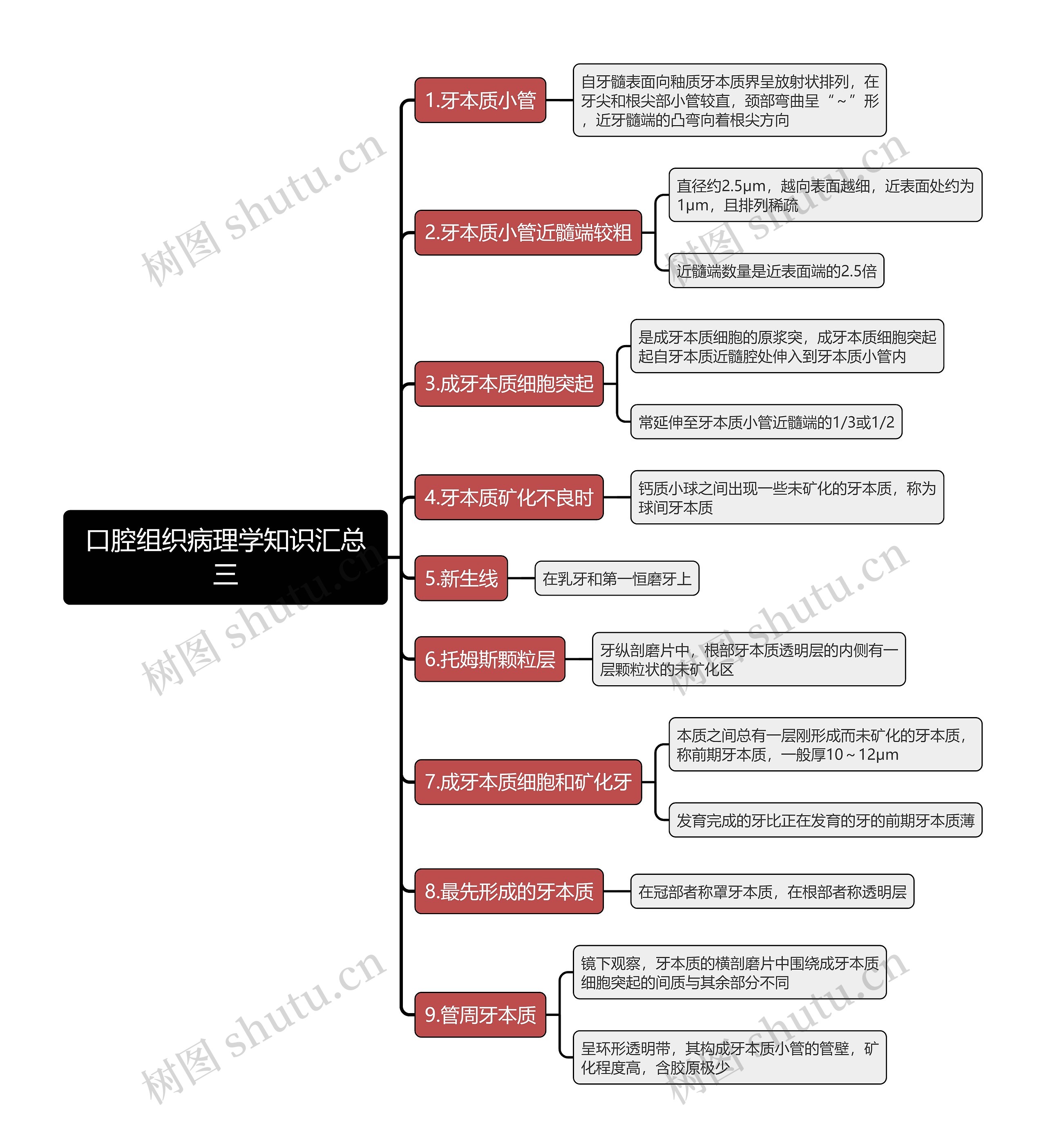 口腔组织病理学知识汇总三思维导图