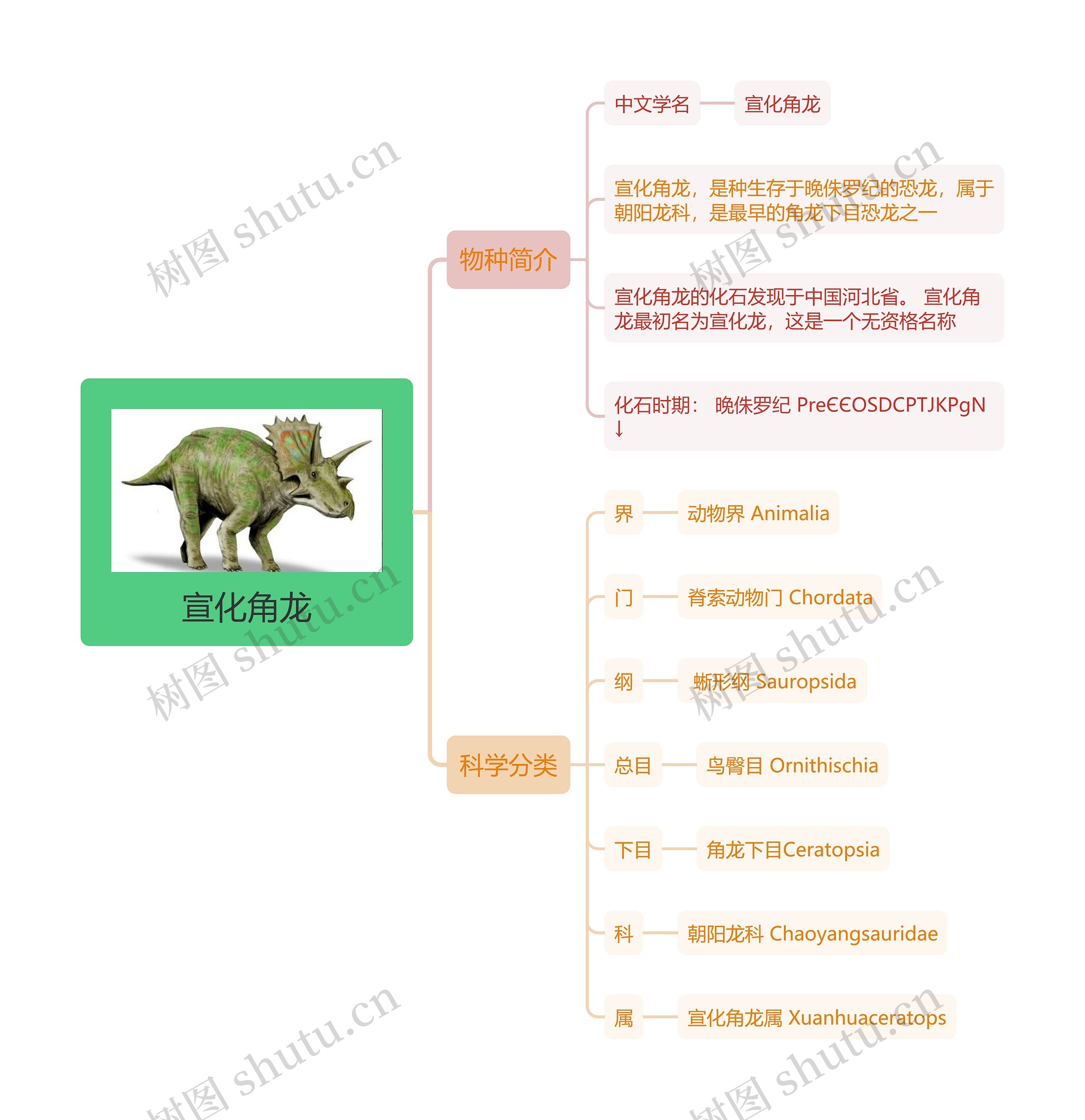 宣化角龙思维导图