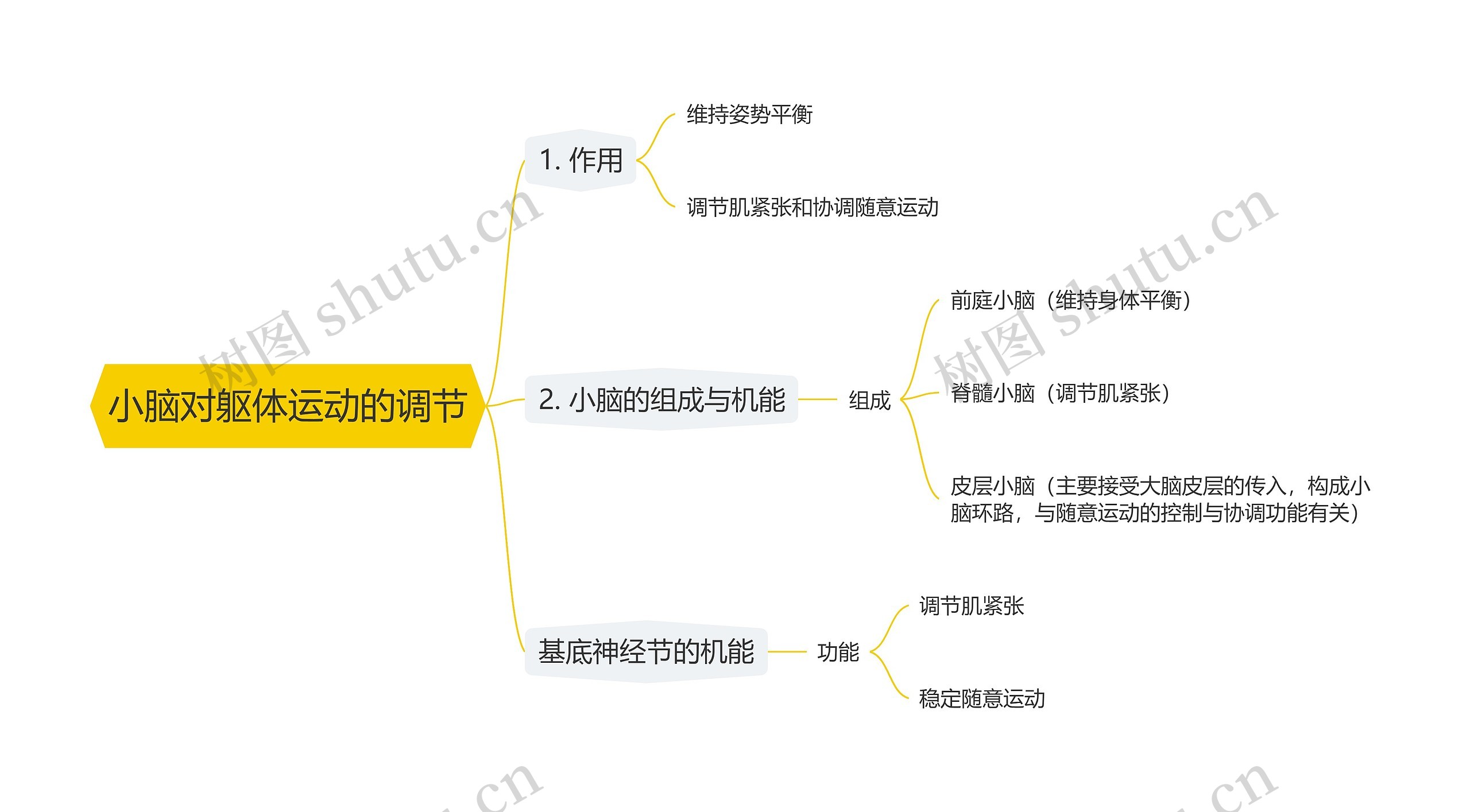 小脑对躯体运动的调节思维导图