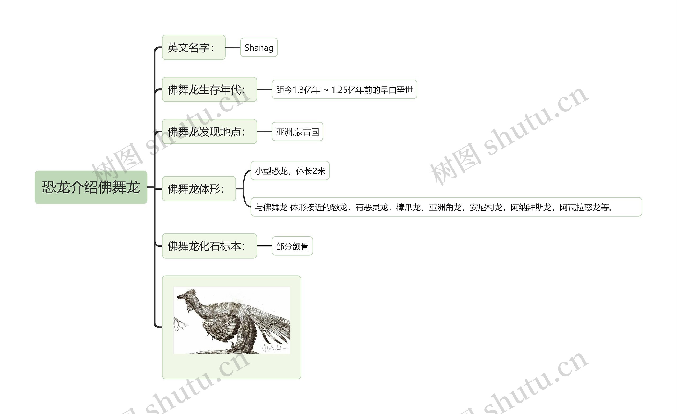 恐龙介绍佛舞龙