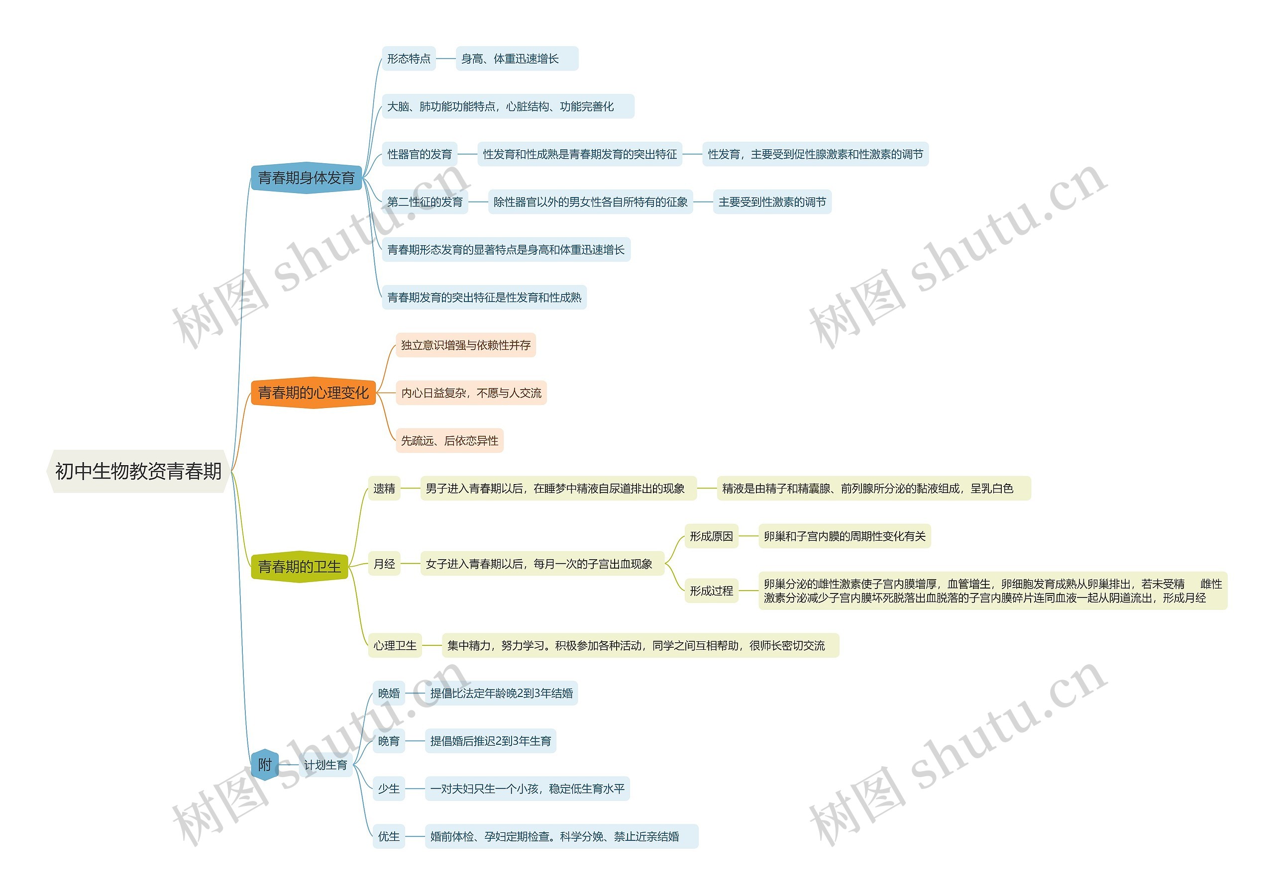 初中生物教资青春期思维导图高清图 初中生物教资青春期思维导图