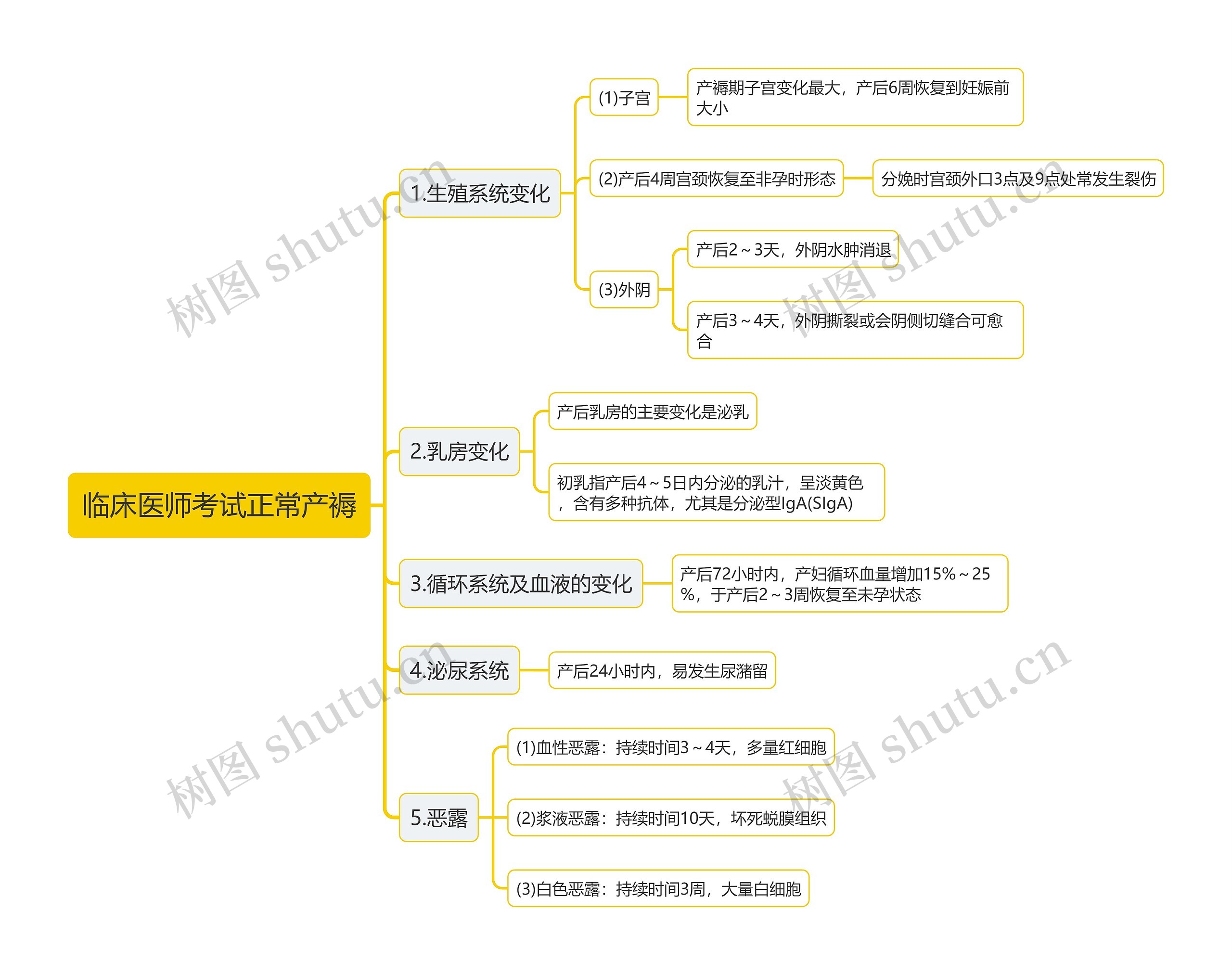 临床医师考试正常产褥思维导图